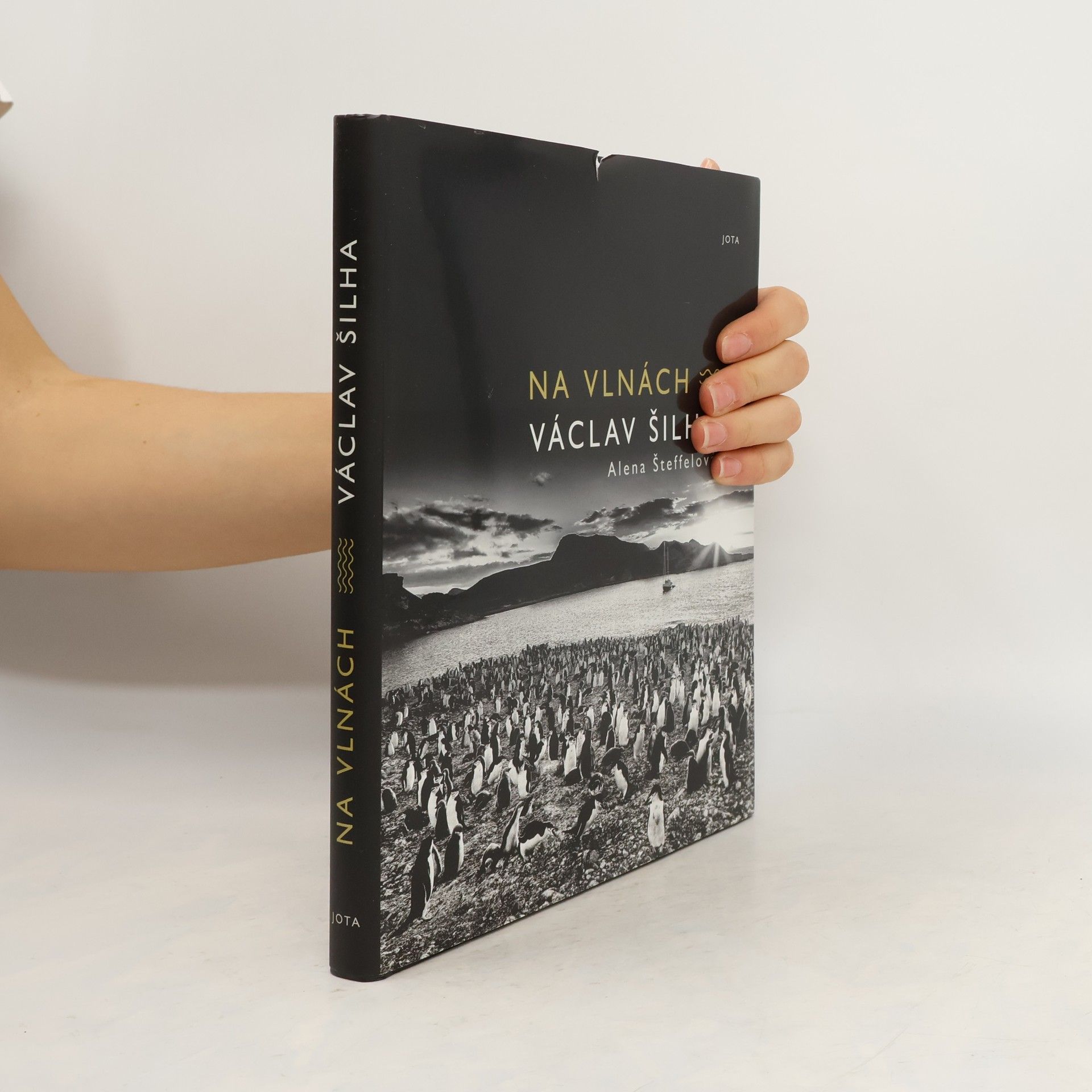 Václav Šilha Na vlnách