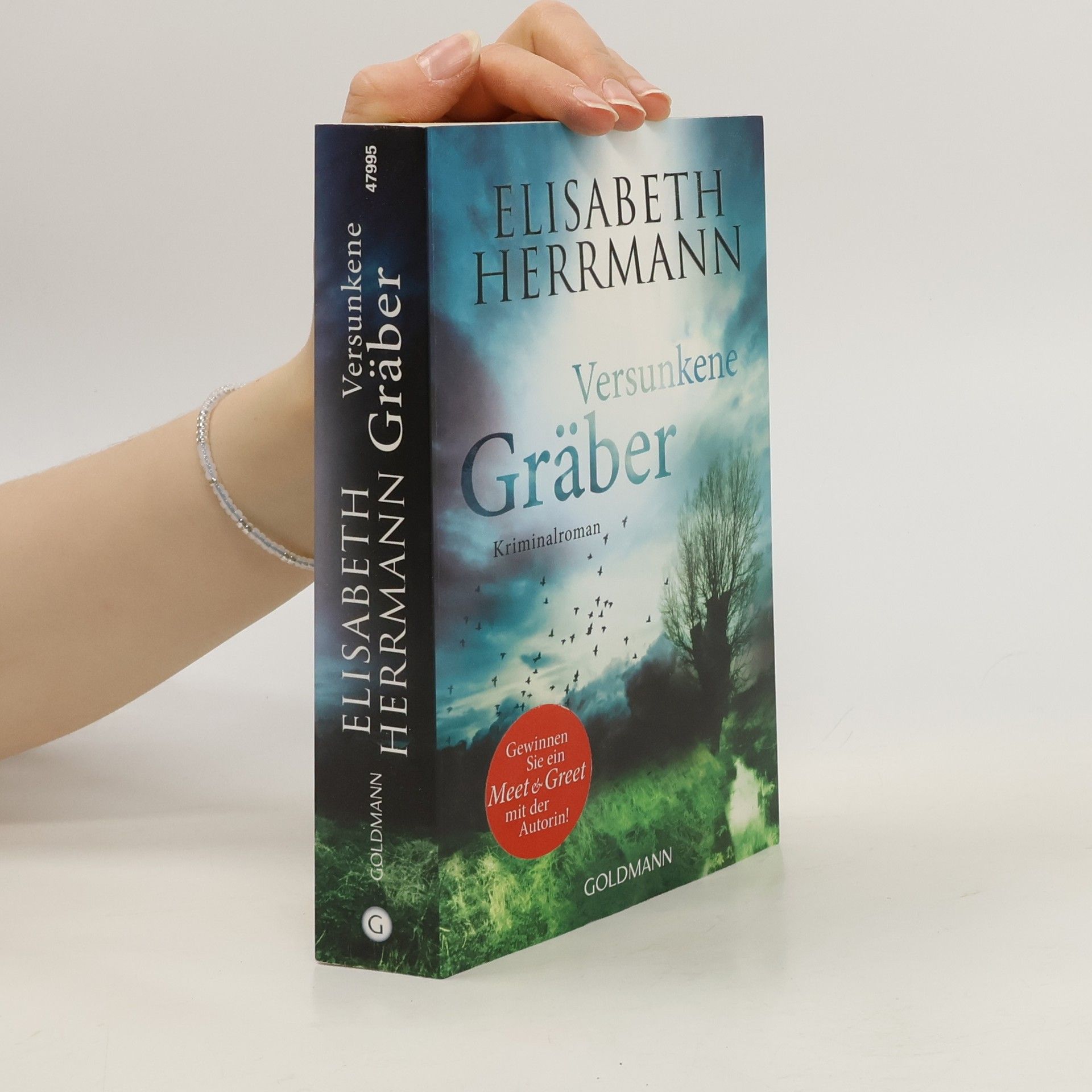Elisabeth Hermann Versunkene Gräber