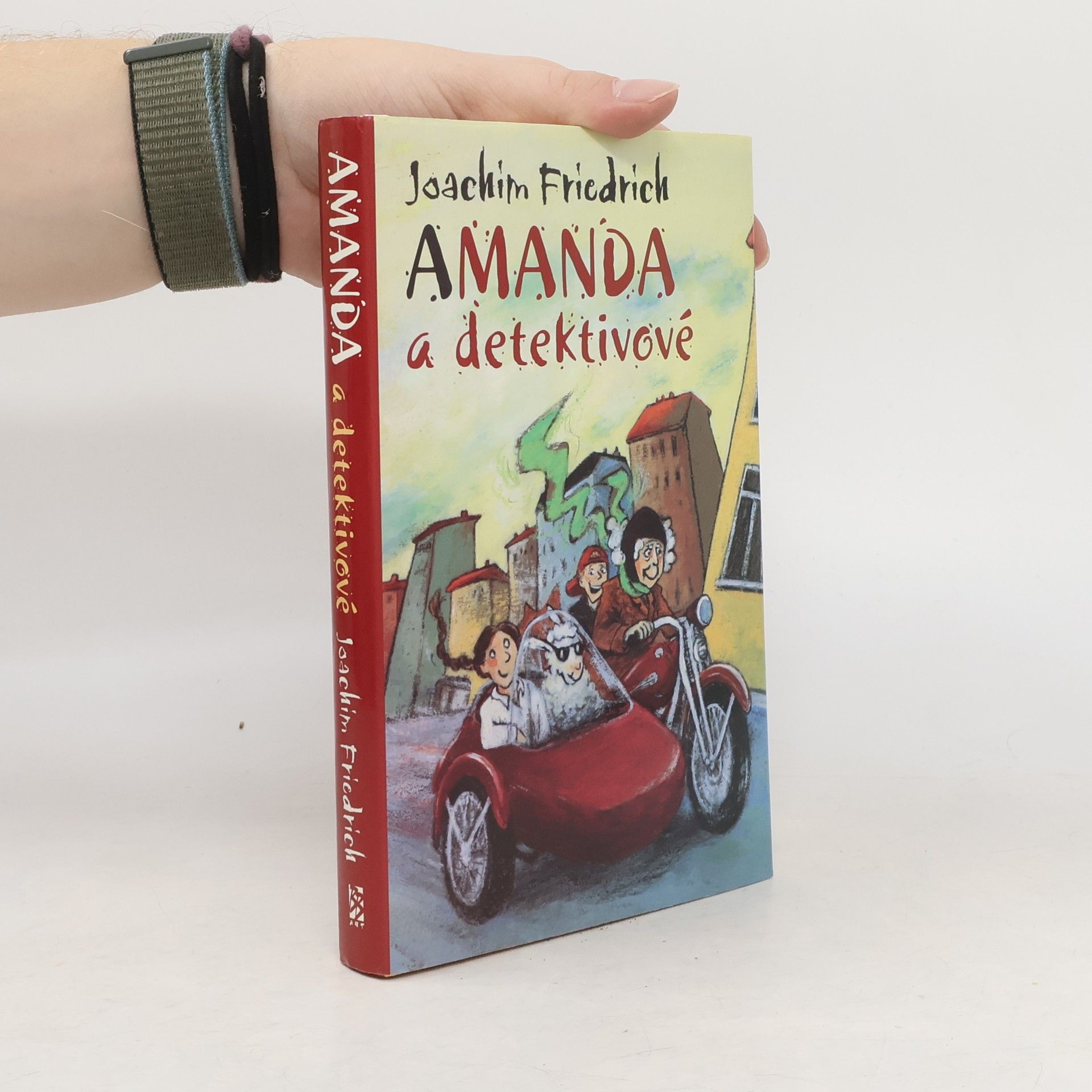 Joachim-Friedrich Kapp Amanda a detektivové