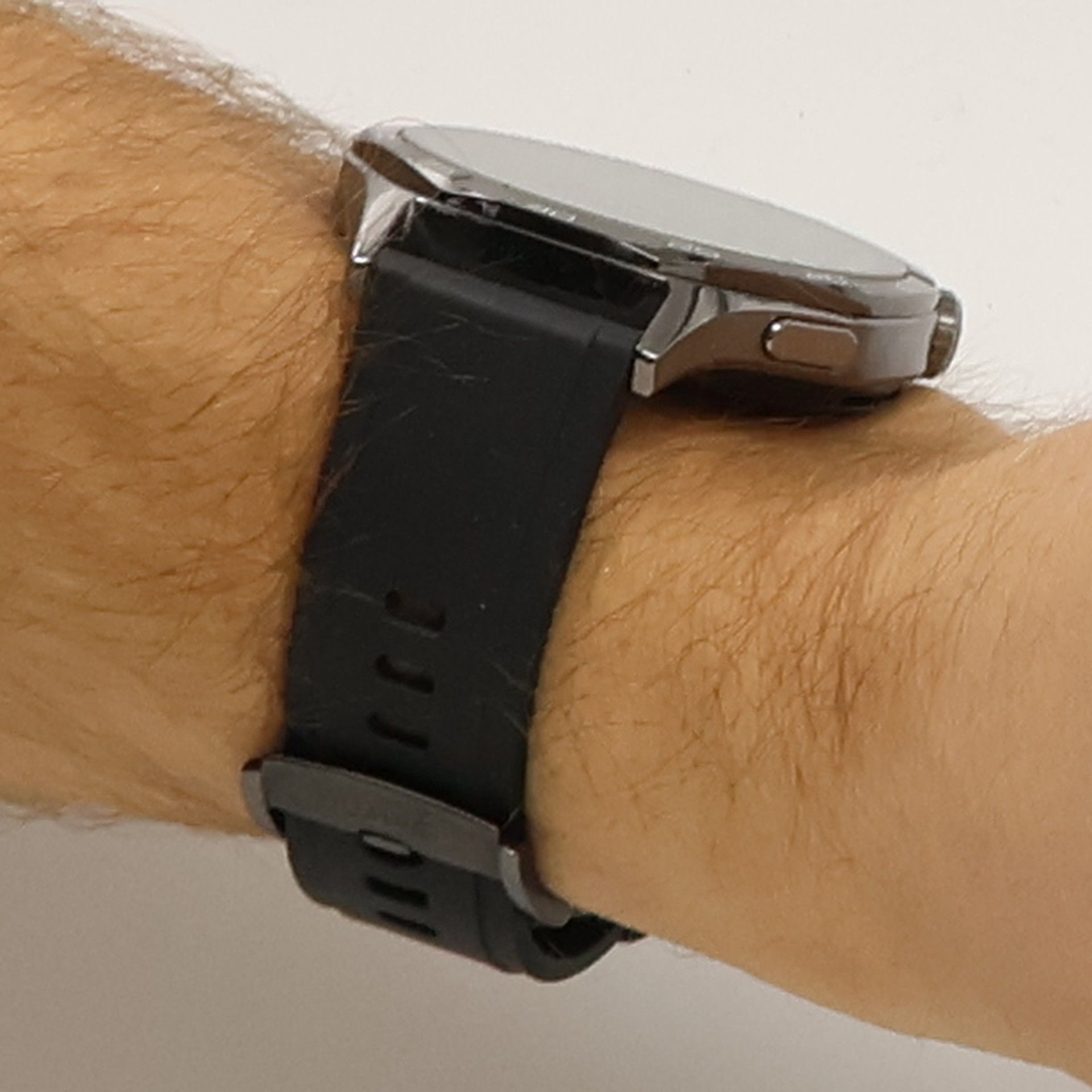 Maria Sibylla Merian Neues Blumenbuch