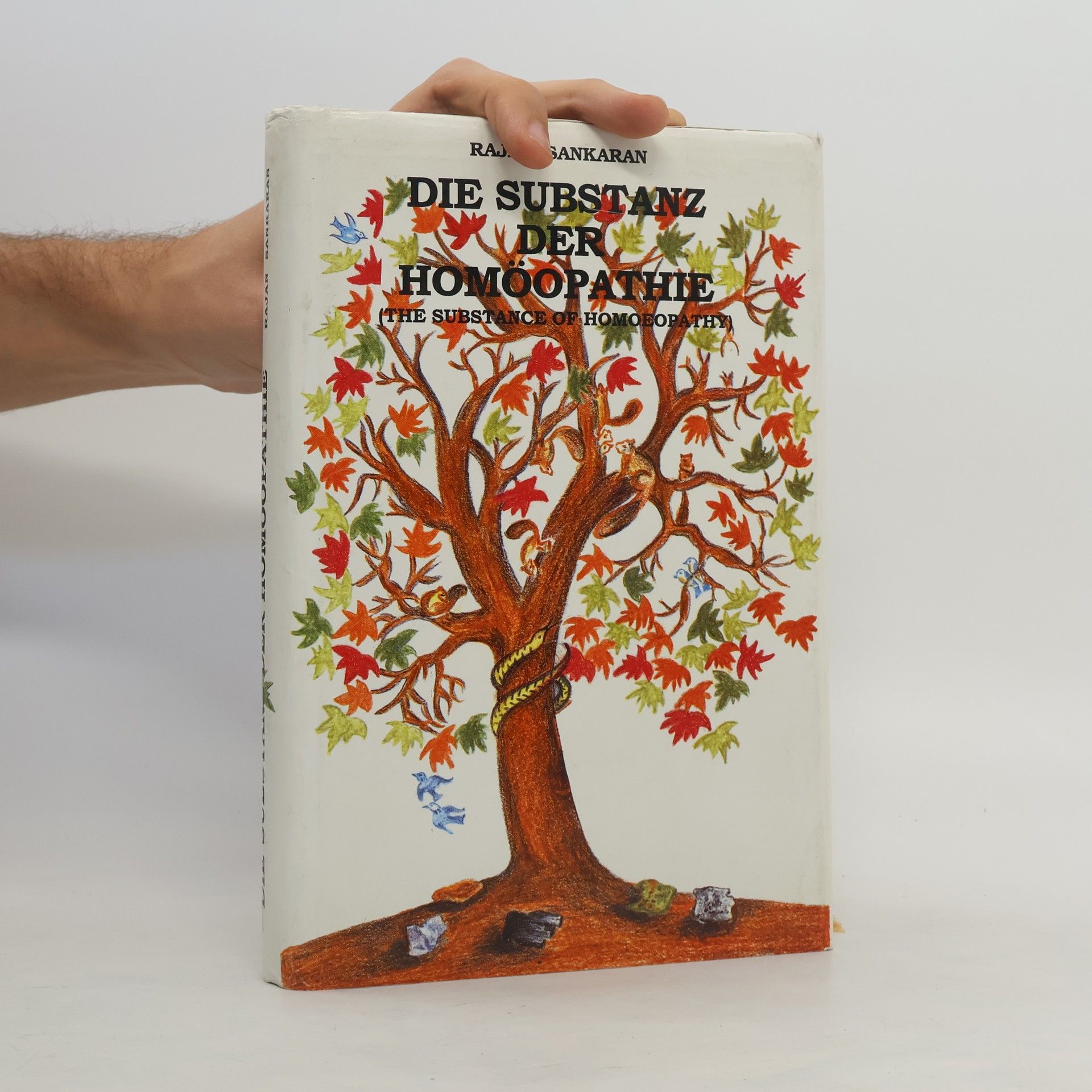 Rajan Sankraran Die substanz der homöopathie