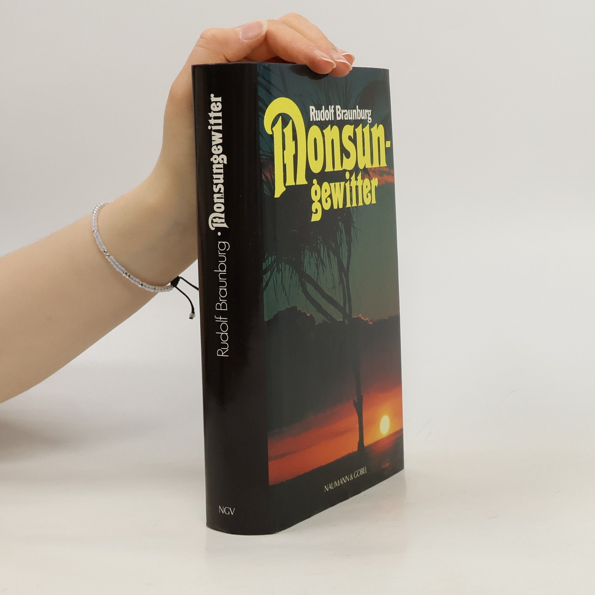 Rudolf Braunburg Monsungewitter