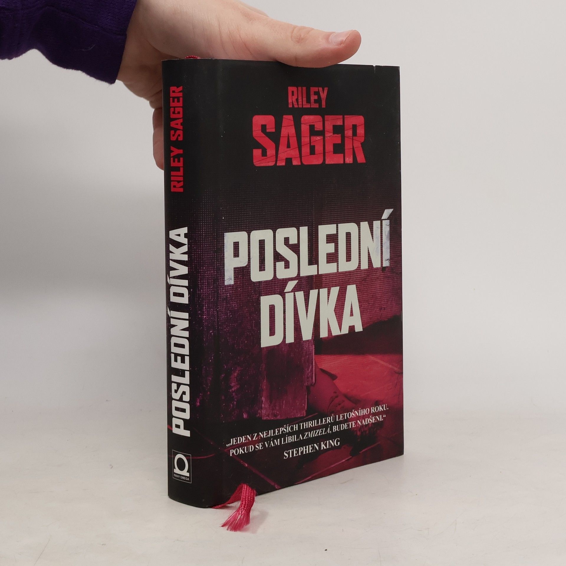 Todd Ritter Poslední dívka