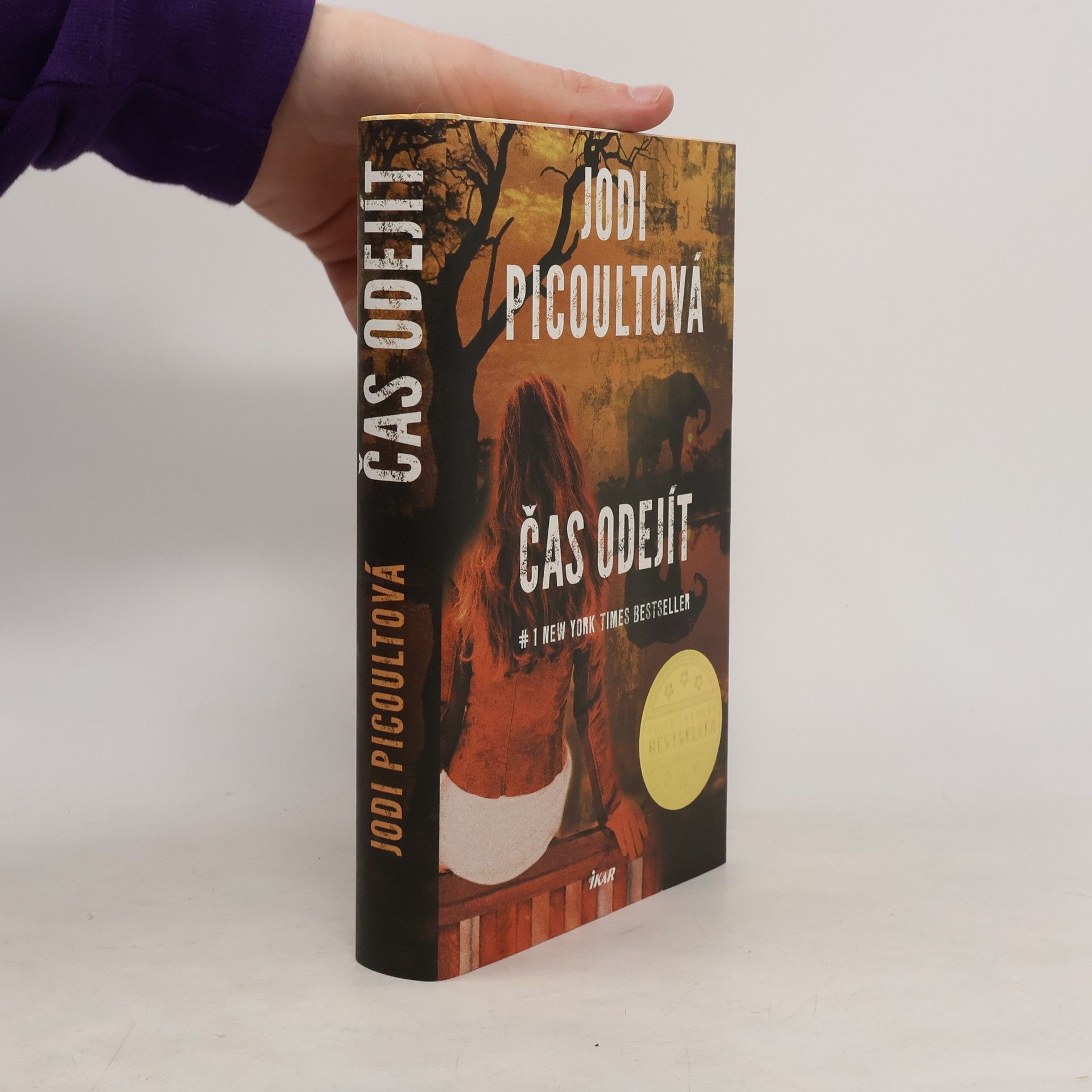 Jodi Picoult Čas odejít