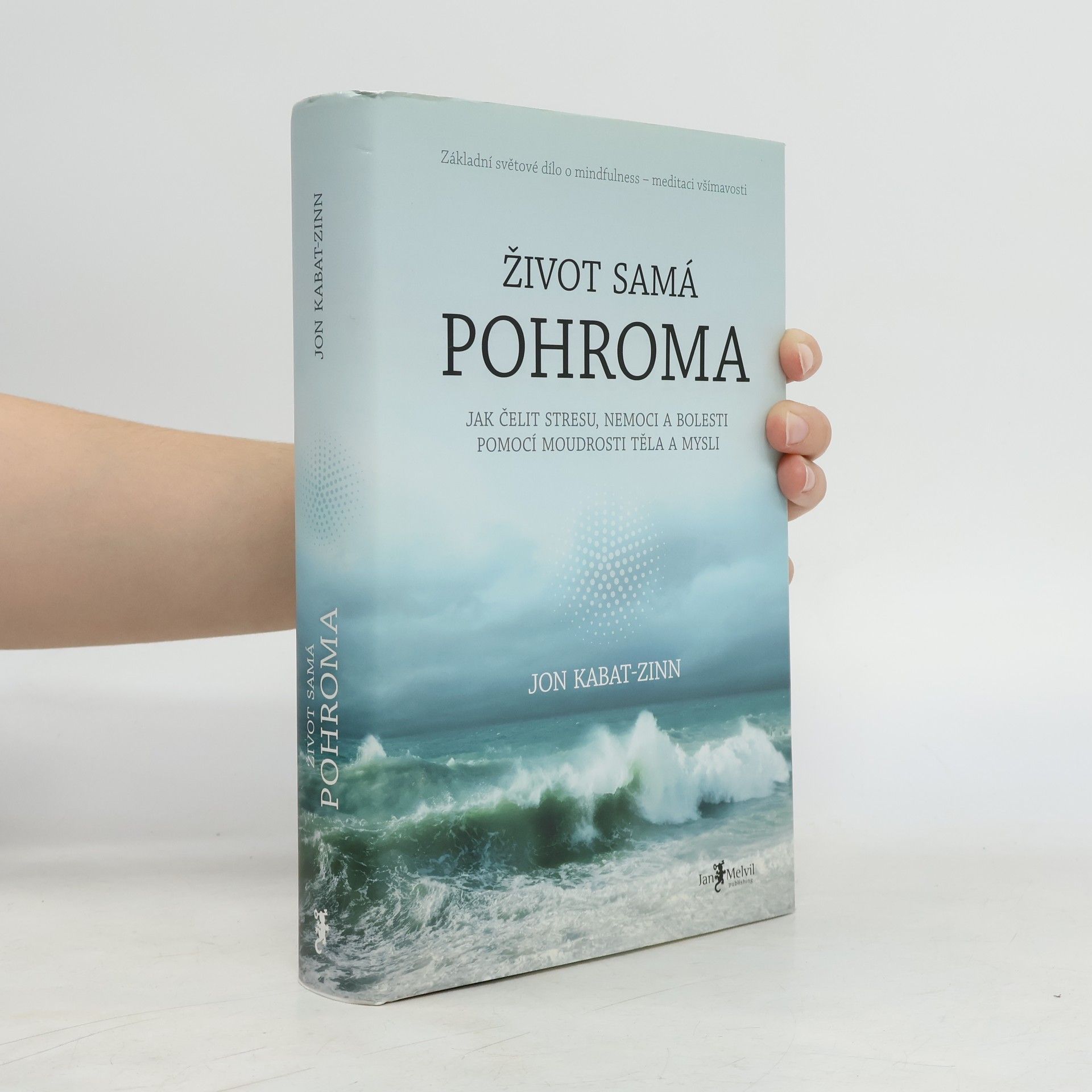 Libor Válek Život samá pohroma