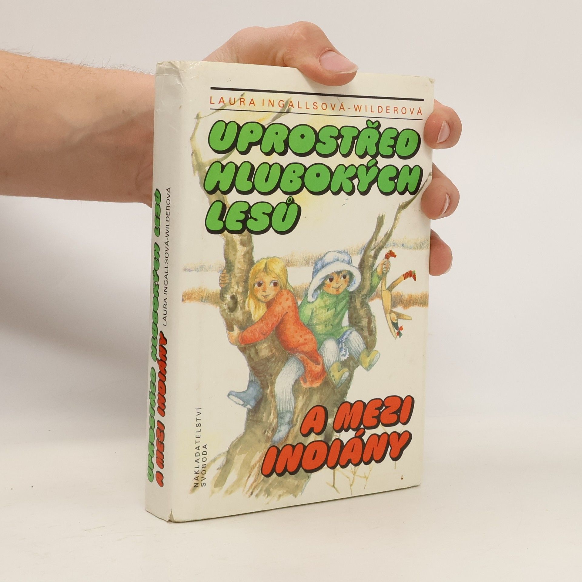 Uprostřed hlubokých lesů