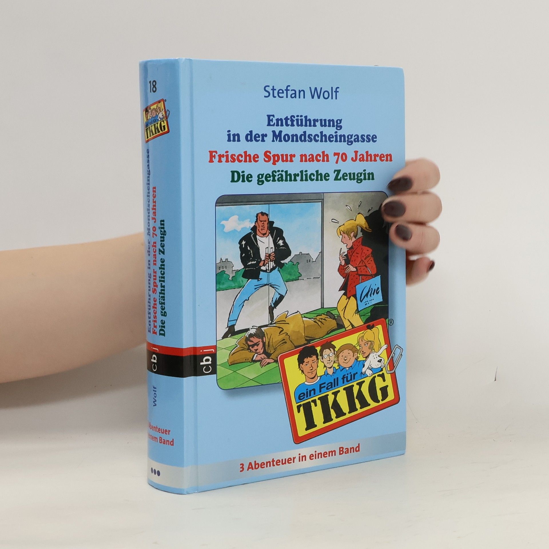 Stefan Wolf TKKG Sammelband 18. 3 Abenteuer in einem Band