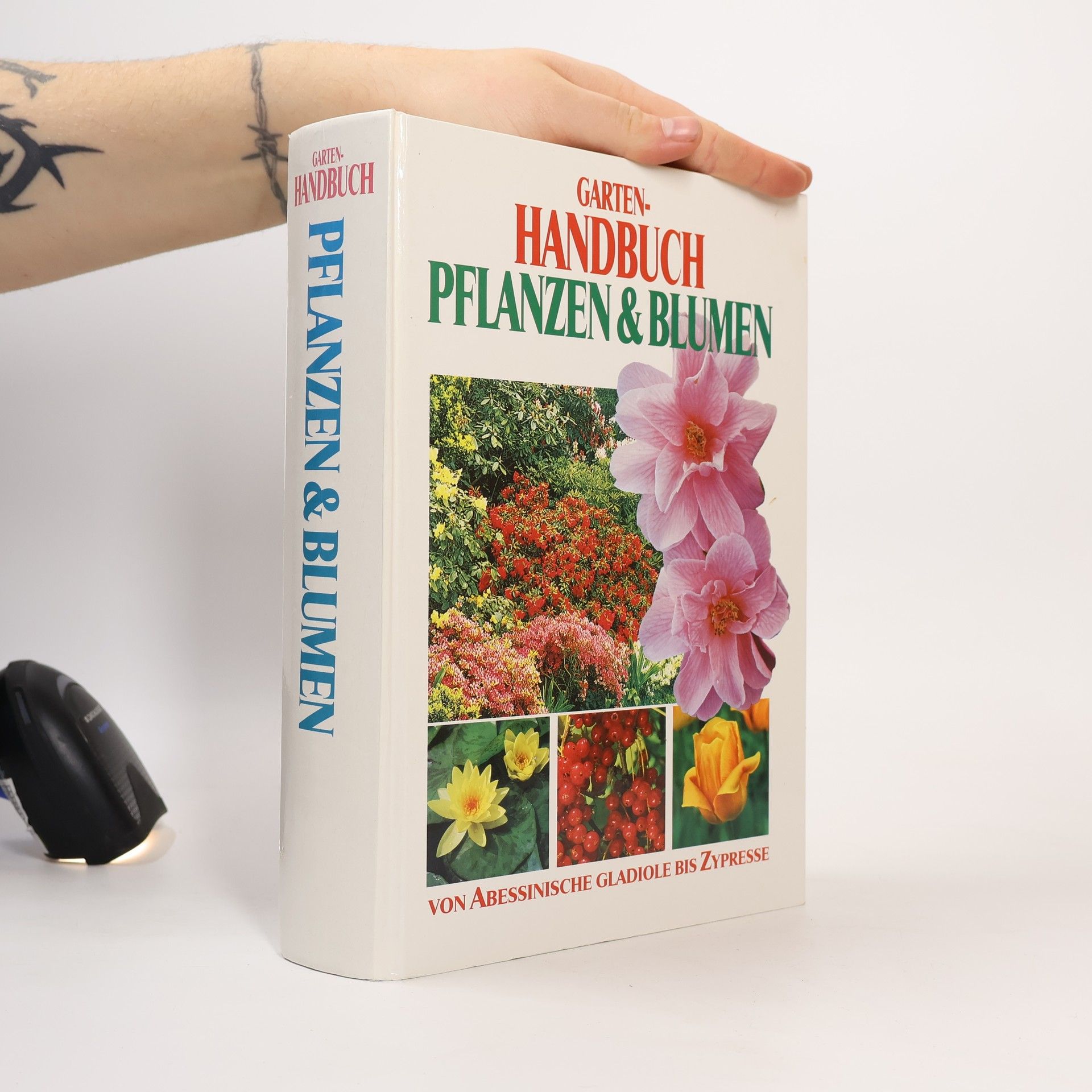 Autorenkollektiv Garten-Handbuch Pflanzen & Blumen