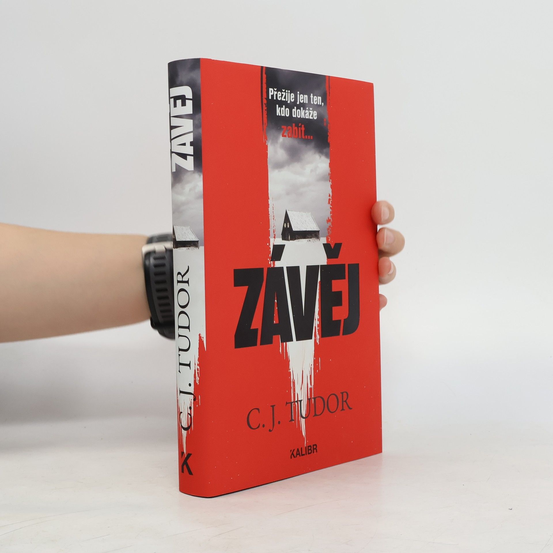 Jana Kunová Závěj