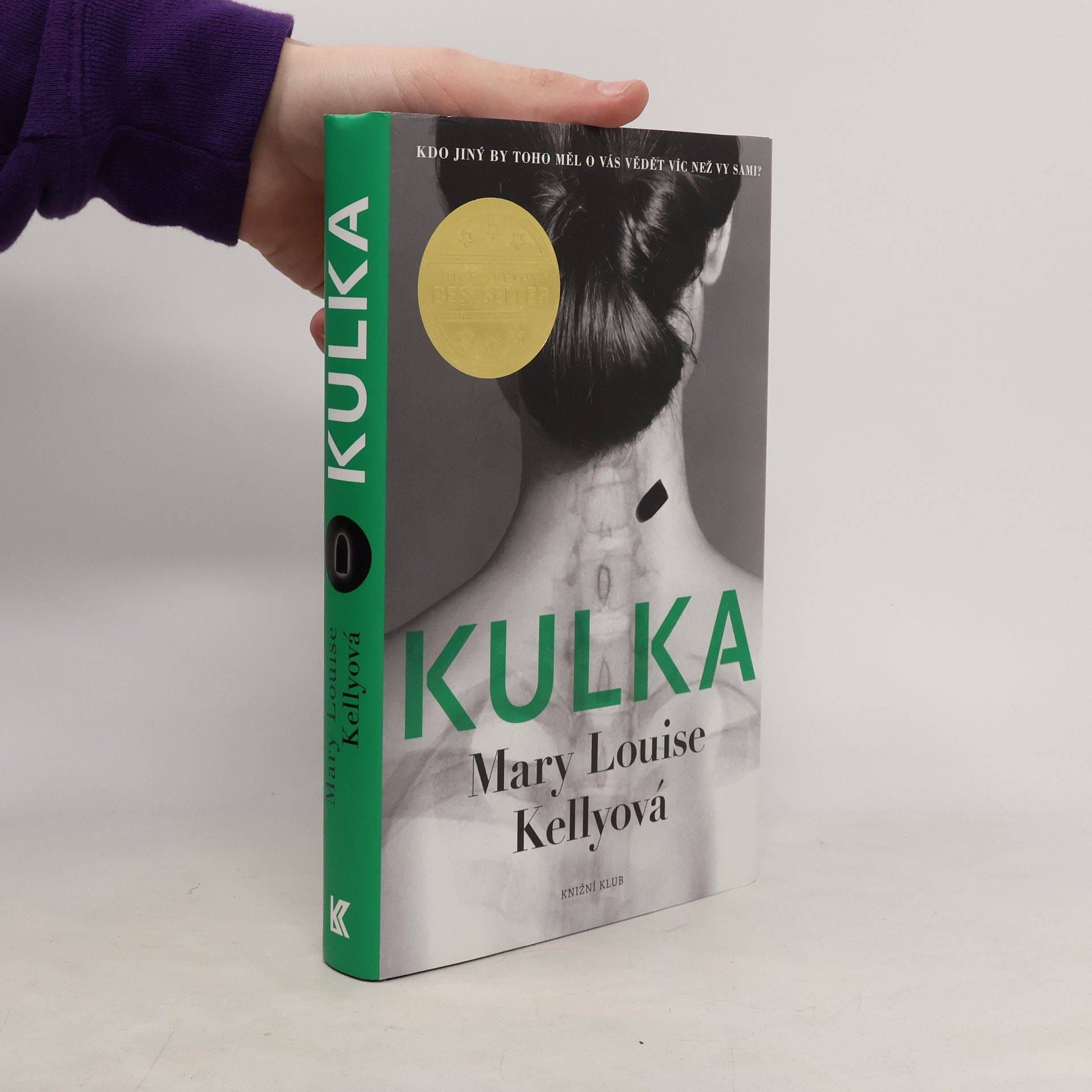 Mary Louise Kelly Kulka