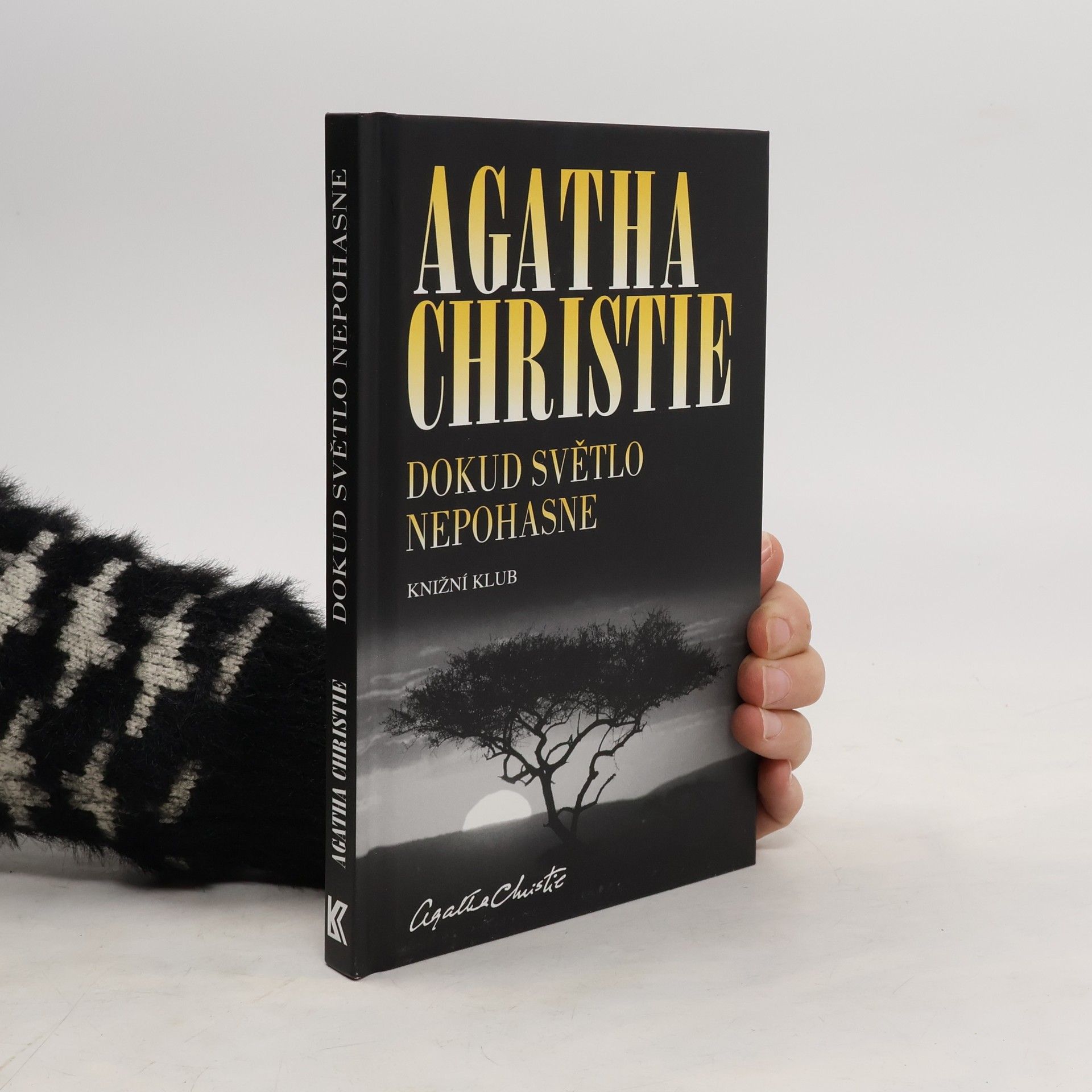 Agatha Christie Dokud světlo nepohasne