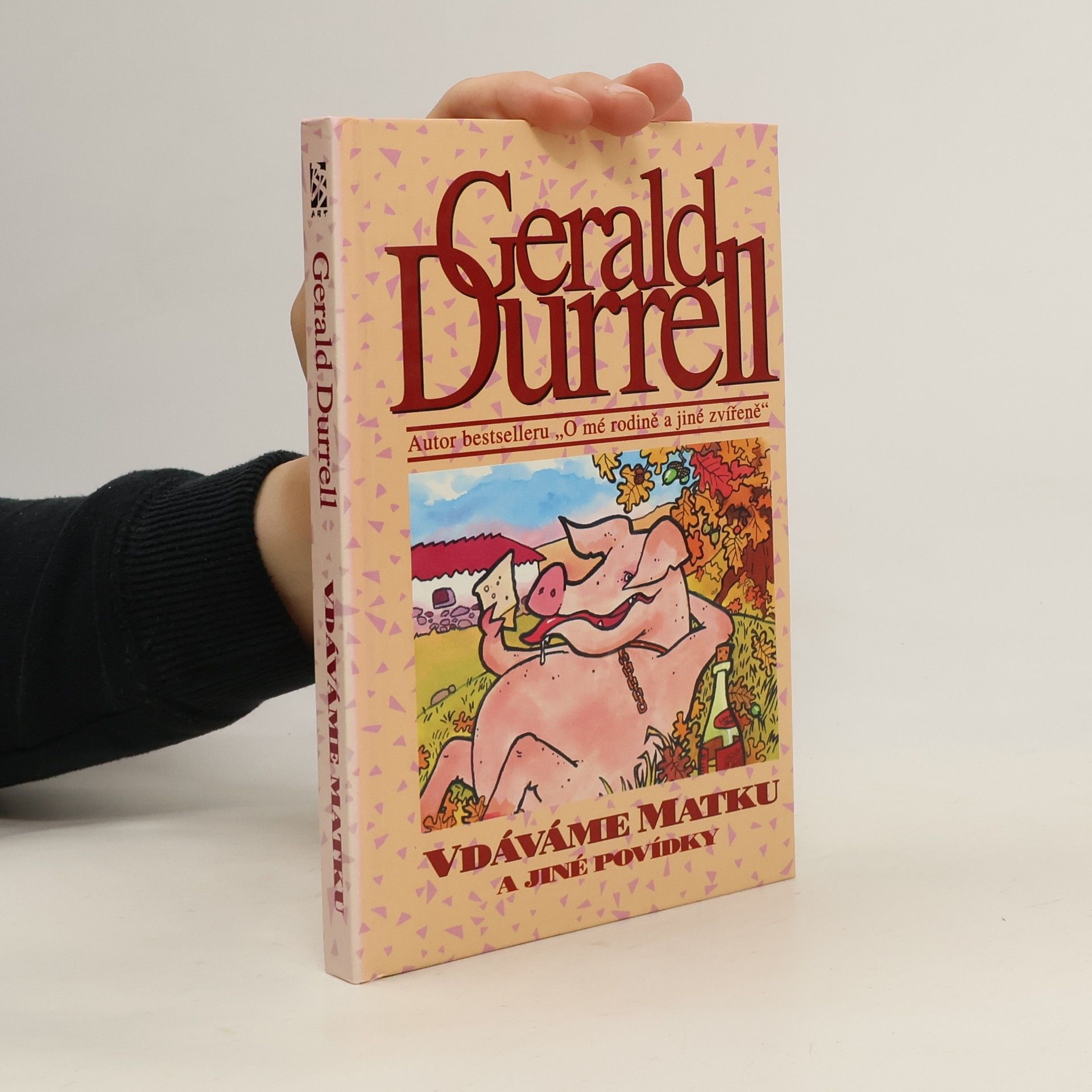 Vdáváme matku a jiné povídky