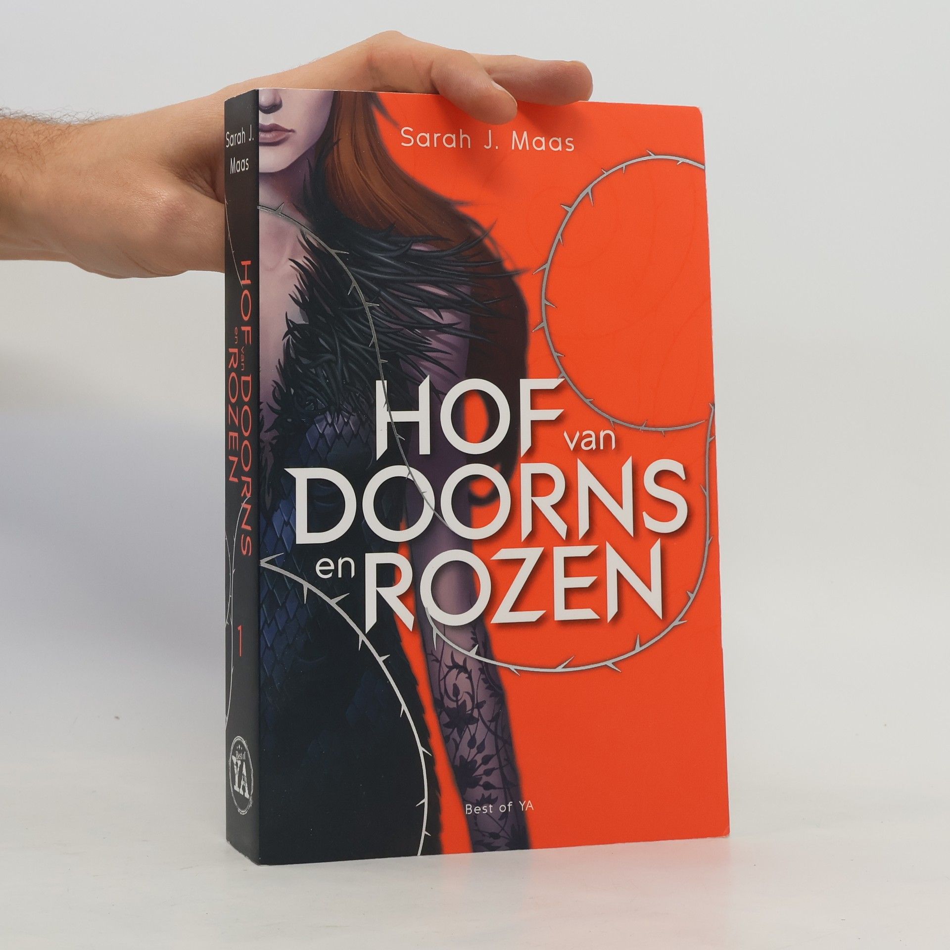 Sarah J. Maas Hof van doorns en rozen