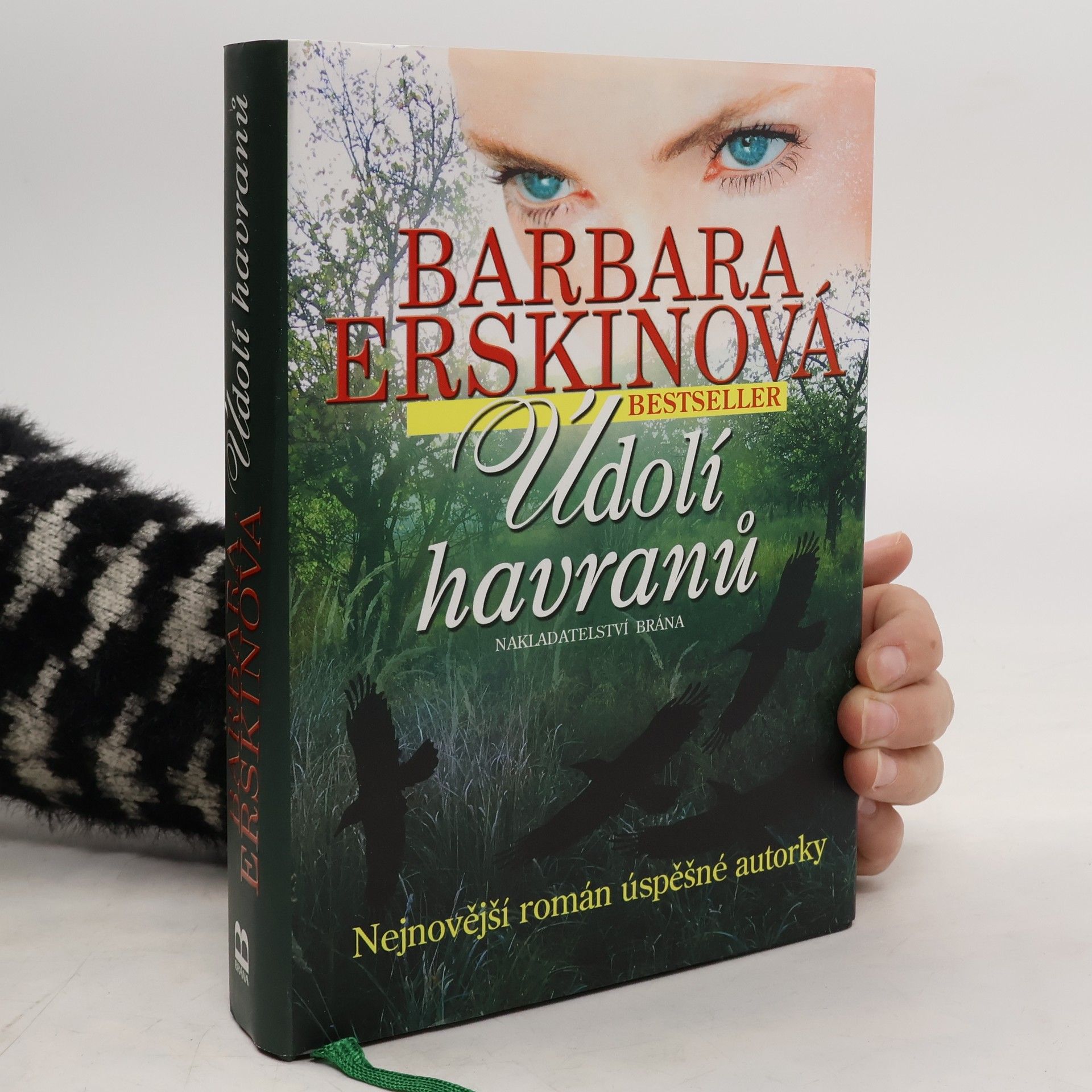Barbara Erskine Údolí havranů