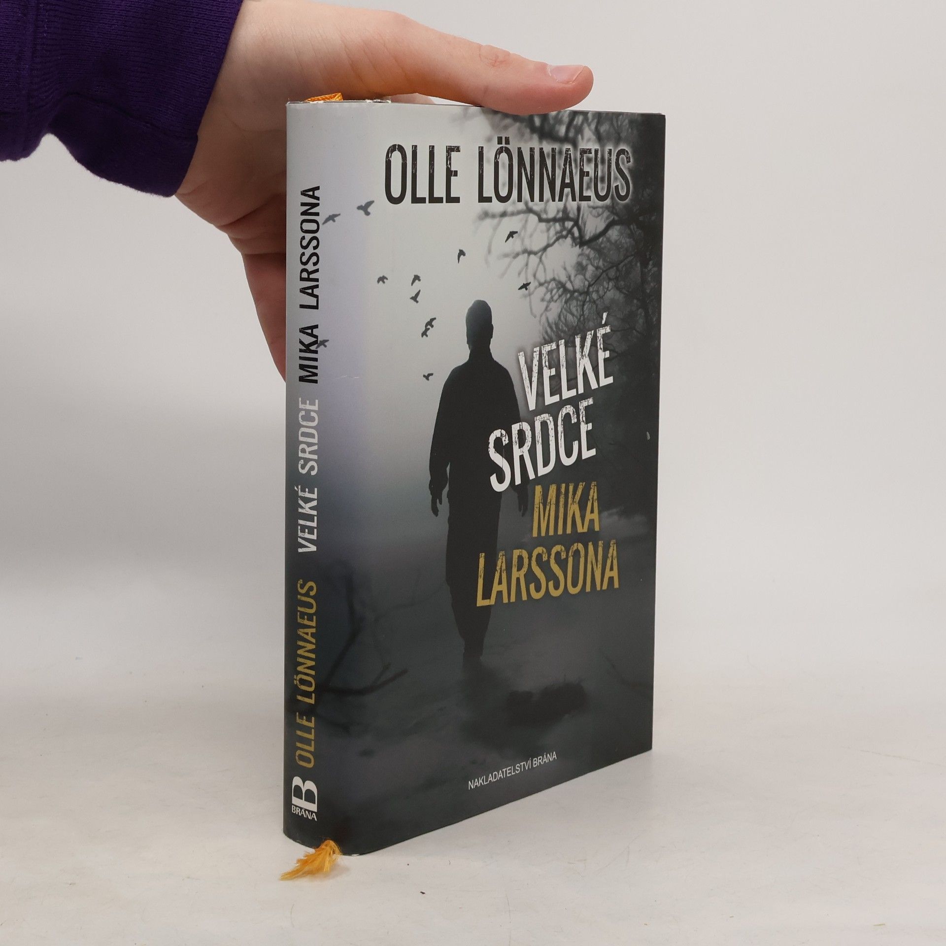 Olle Lönnaeus Velké srdce Mika Larssona