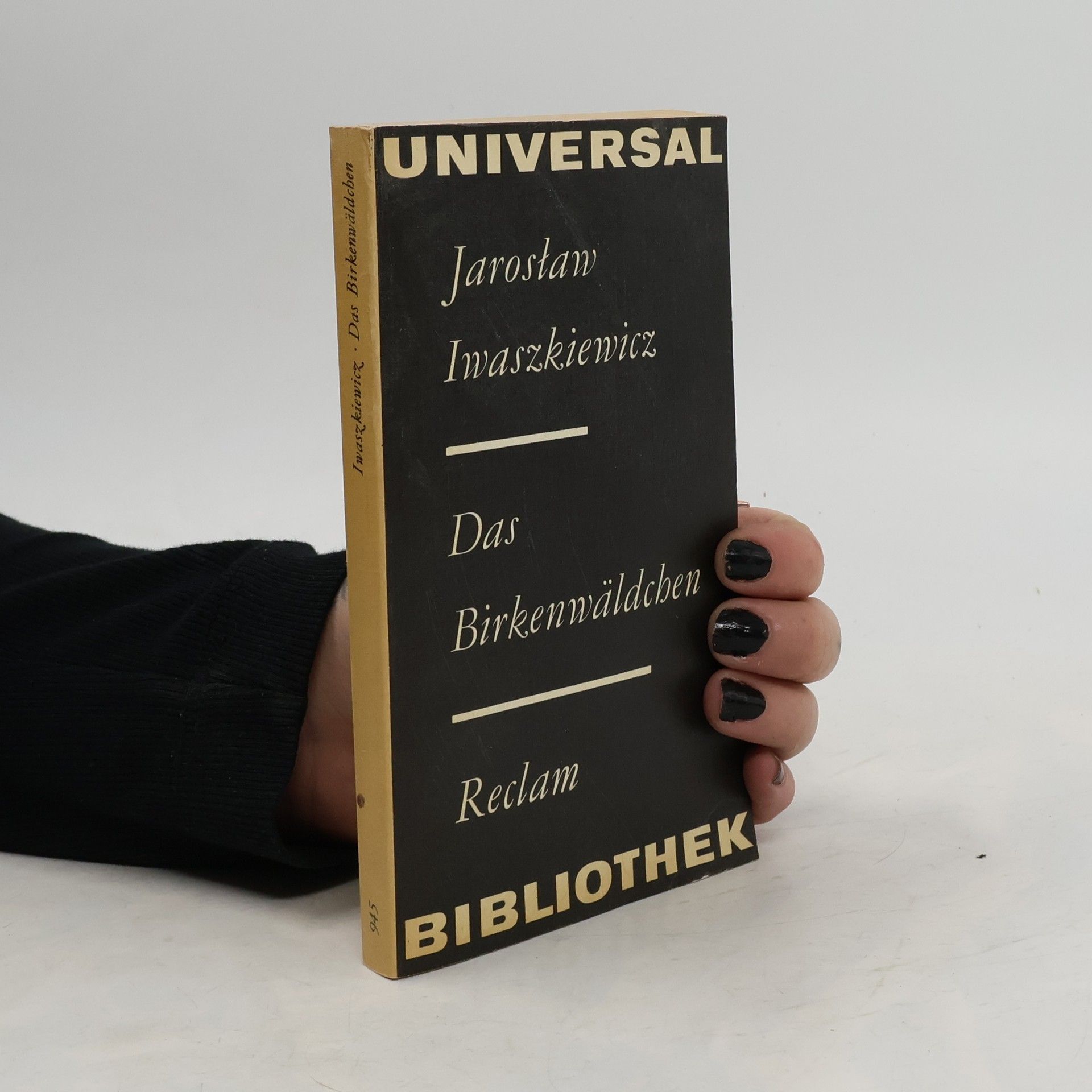 Jarosław Iwaszkiewicz Das Birkenwäldchen