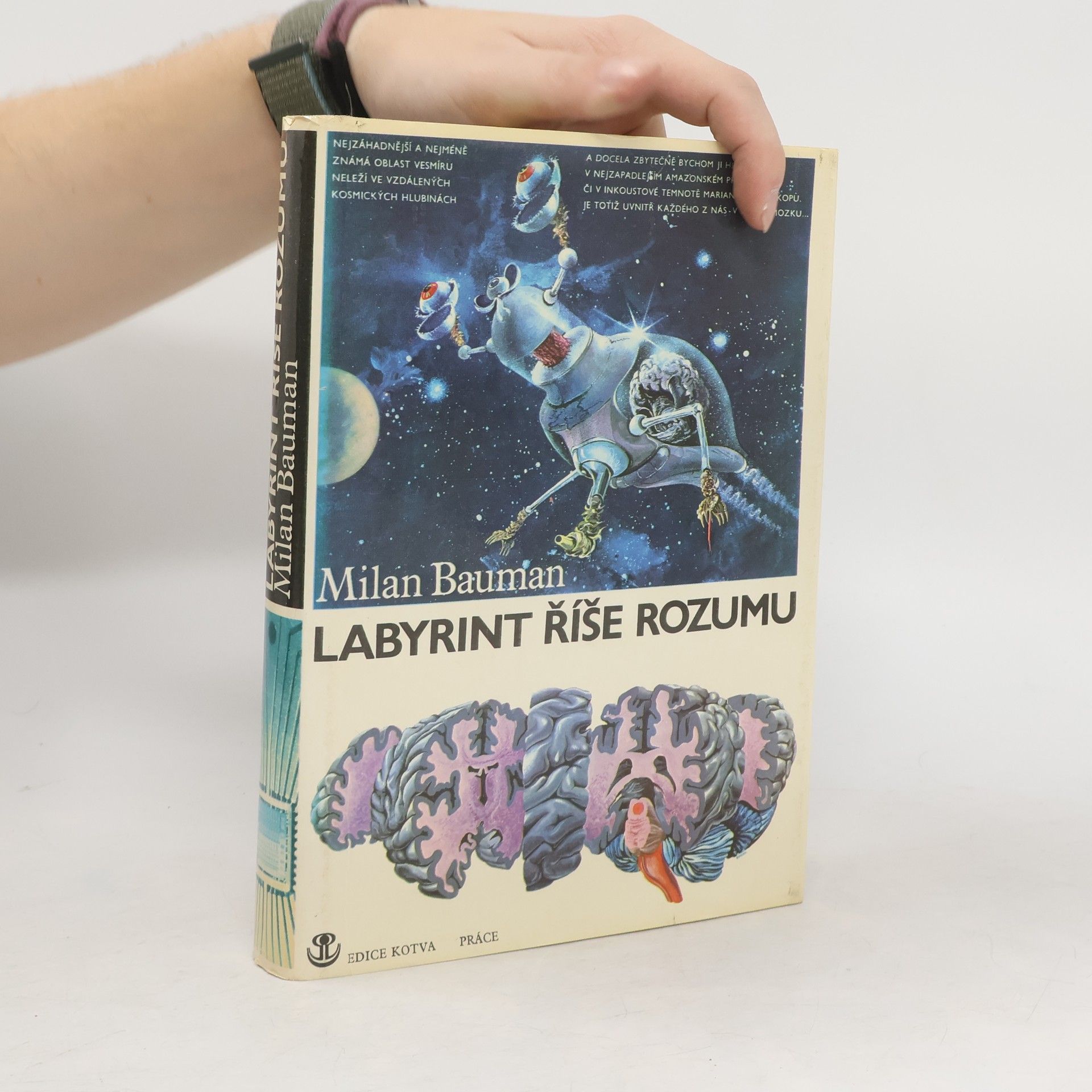 Labyrint říše rozumu