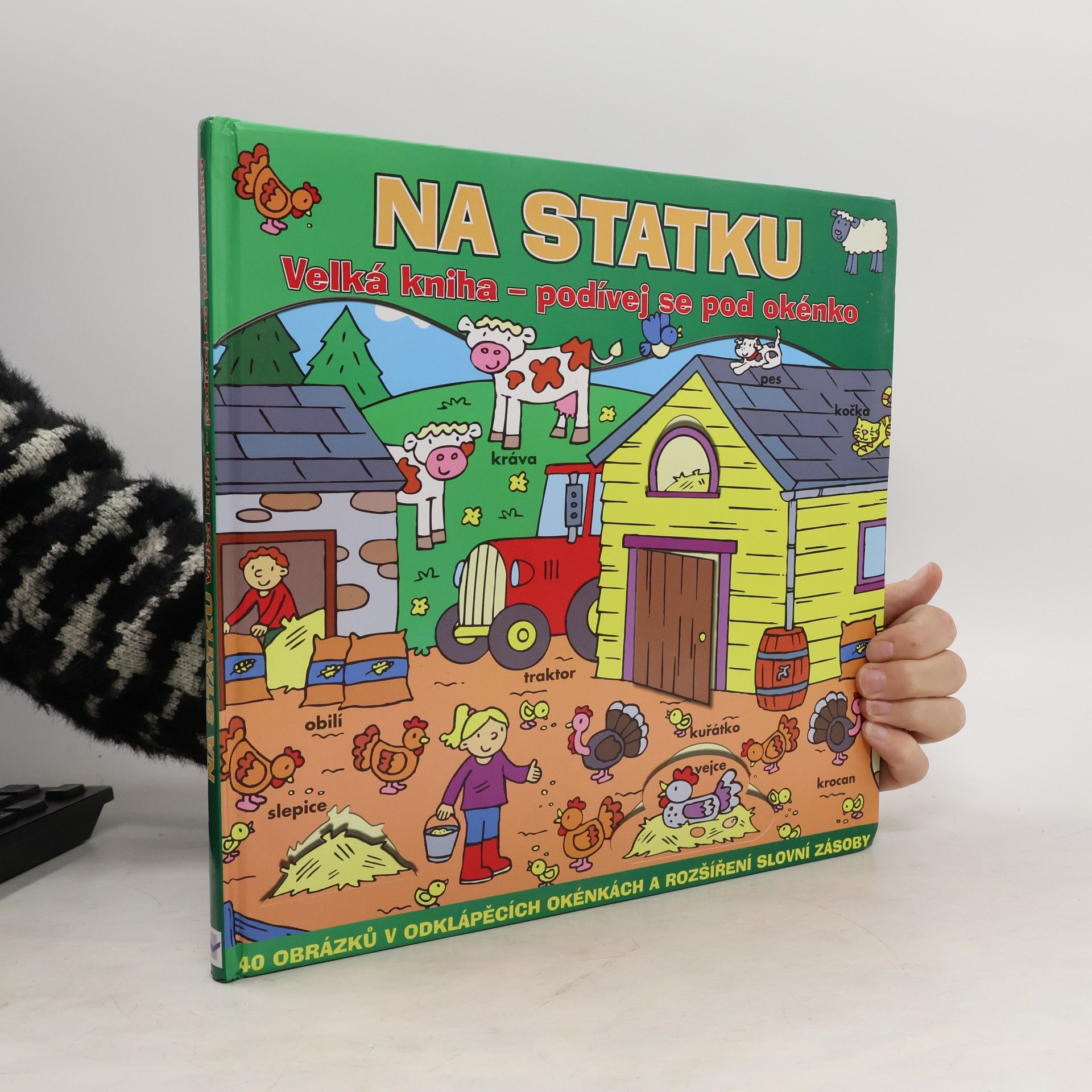 Autorenkollektiv Na statku: velká kniha - podívej se pod okénko: 40 obrázků v odklápěcích okénkách a rozšíření slovní zásoby