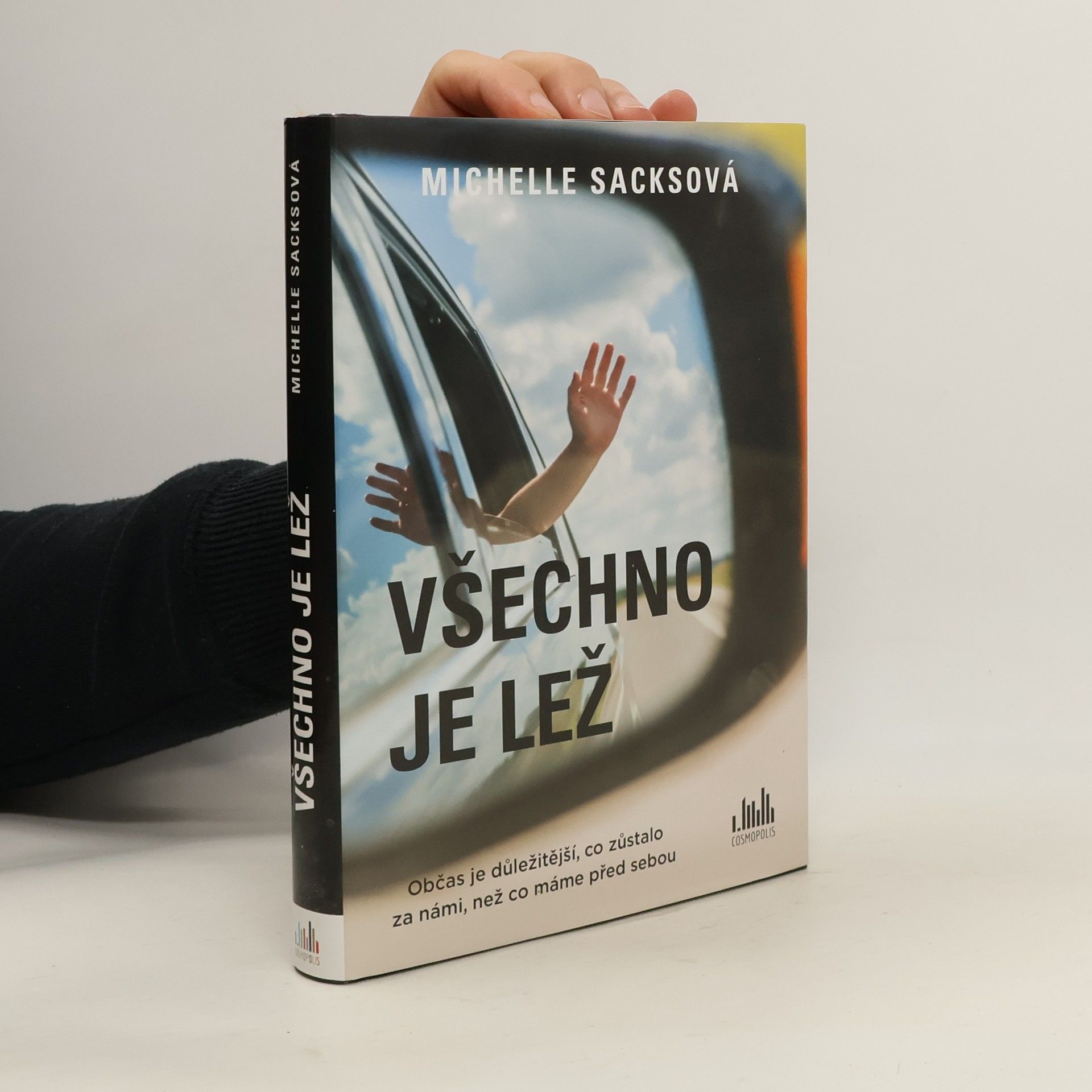 Michelle Sacks Všechno je lež