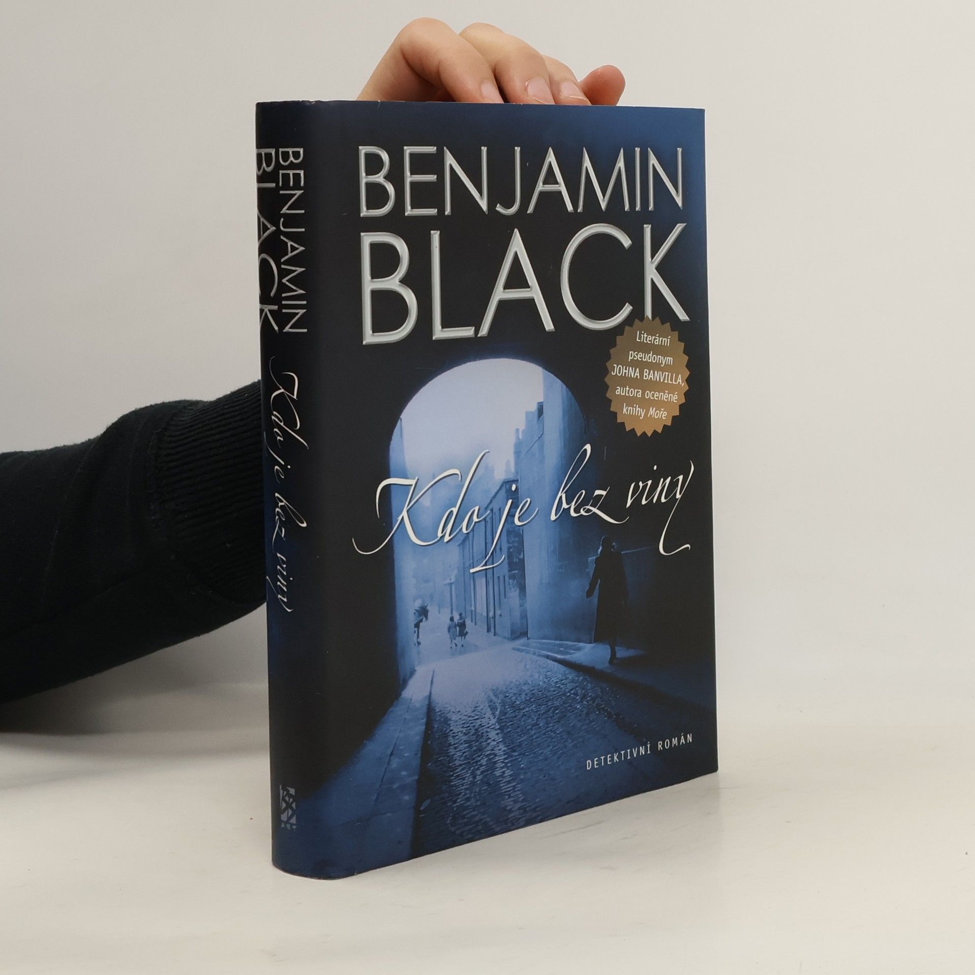 John Banville Kdo je bez viny