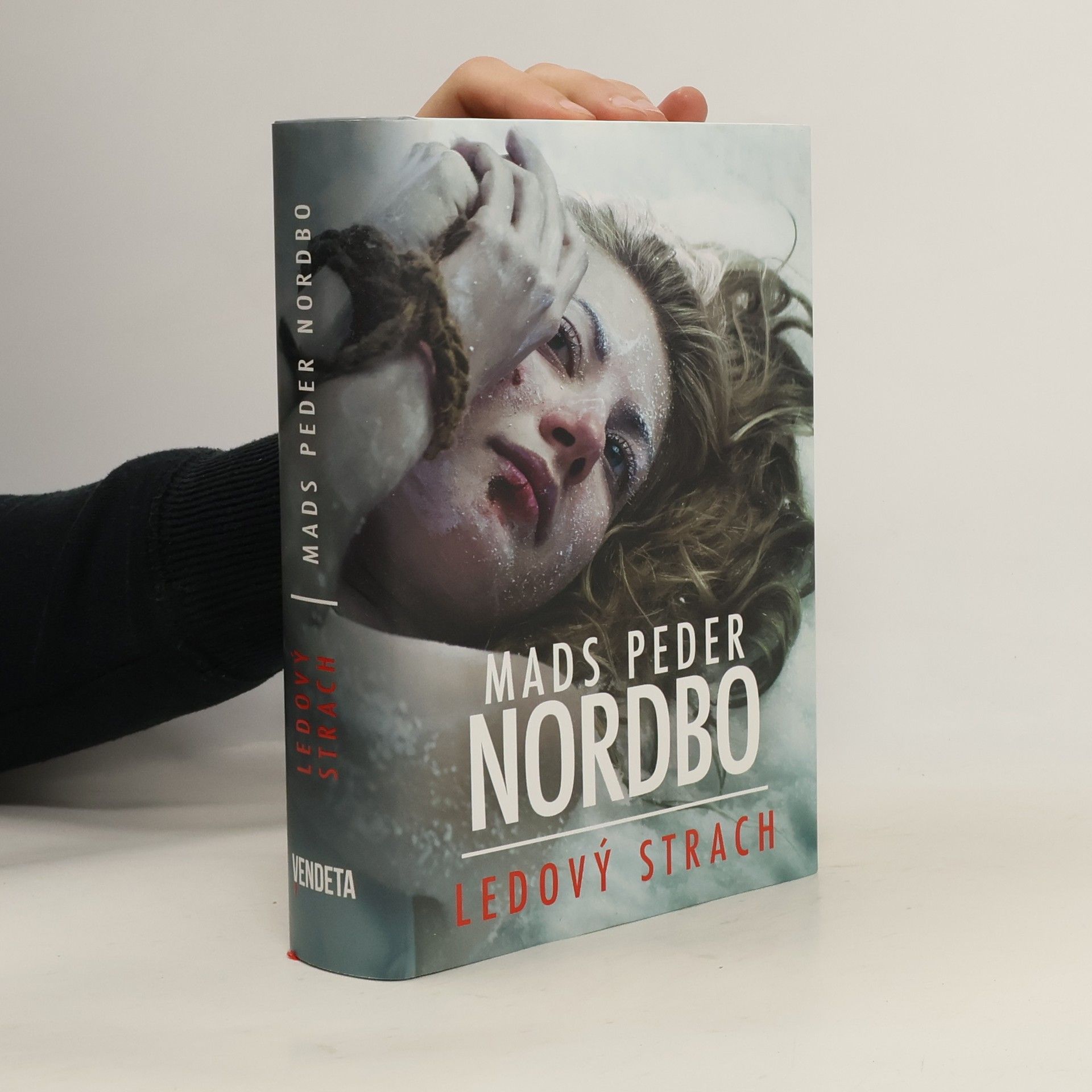 Mads Peder Nordbo Ledový strach