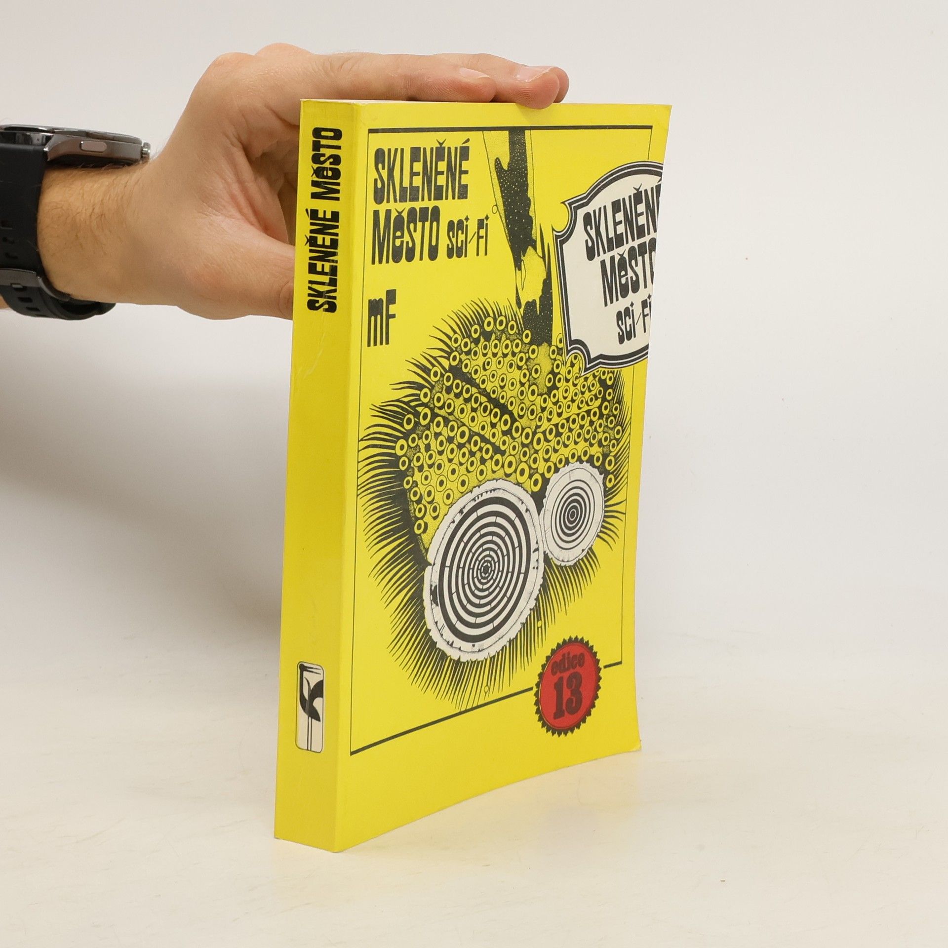 Autores varios Skleněné město