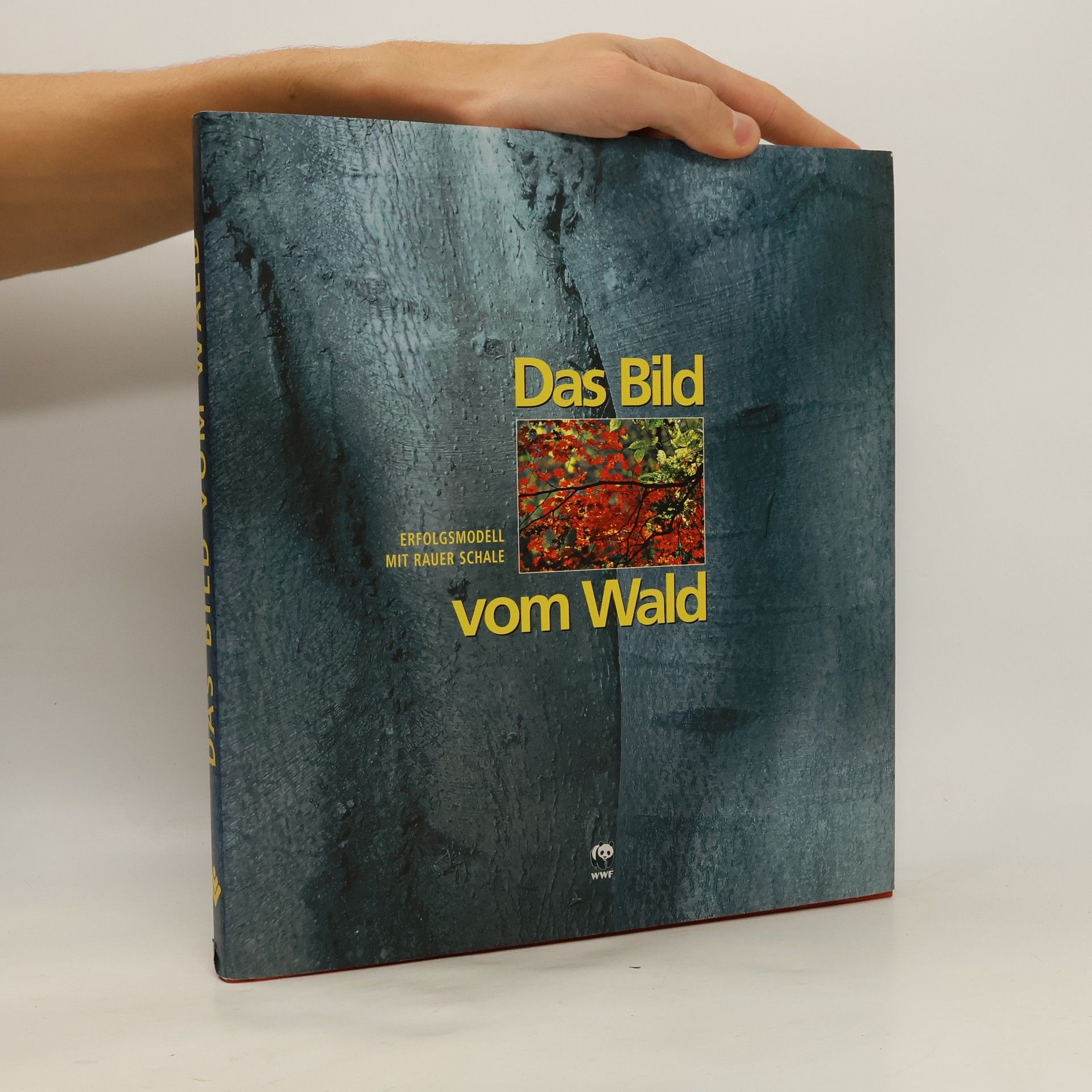 Kolektív autorov Das Bild vom Wald