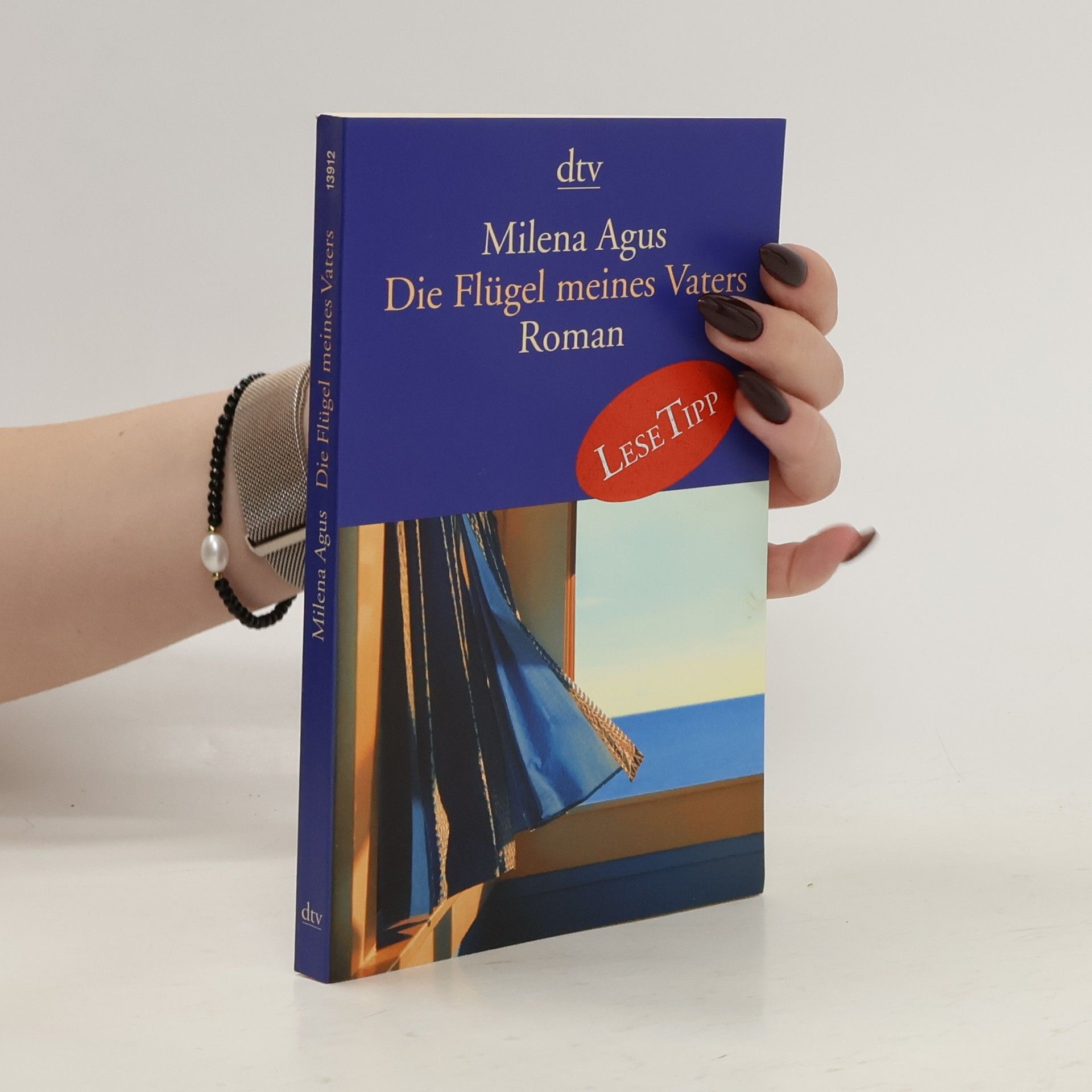 Milena Agus Die Flügel meines Vaters