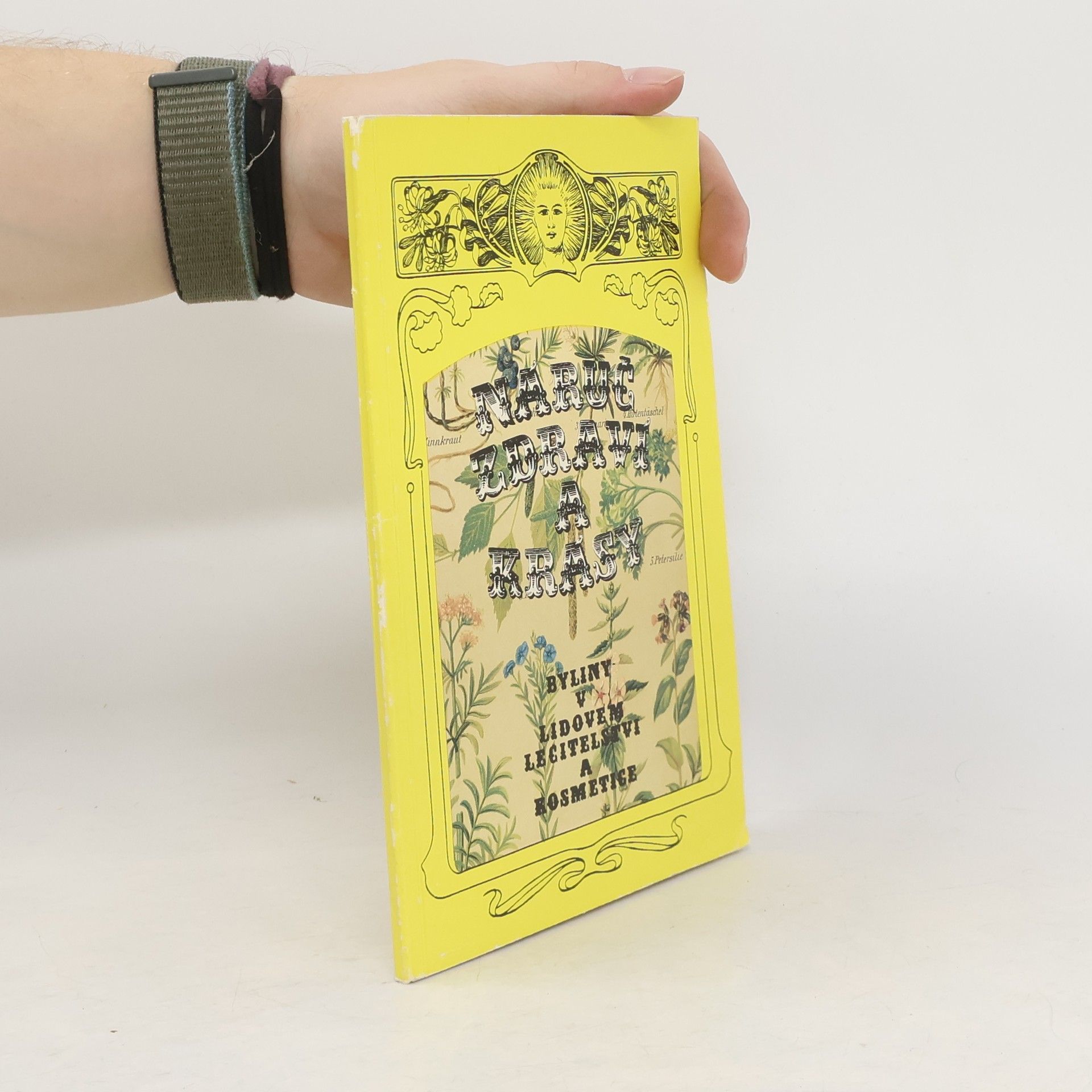 Hedvika Vystavělová Náruč zdraví a krásy. Byliny v lidovém léčitelství a kosmetice