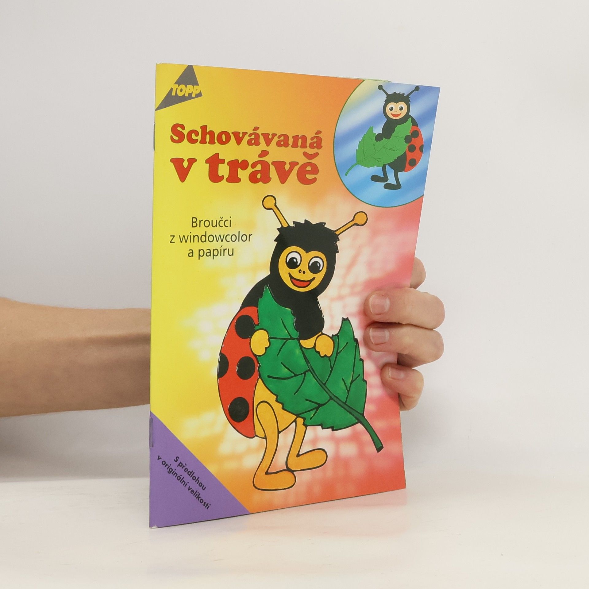 Daniel Täubner Schovávaná v trávě : broučci z windowcolor a papíru