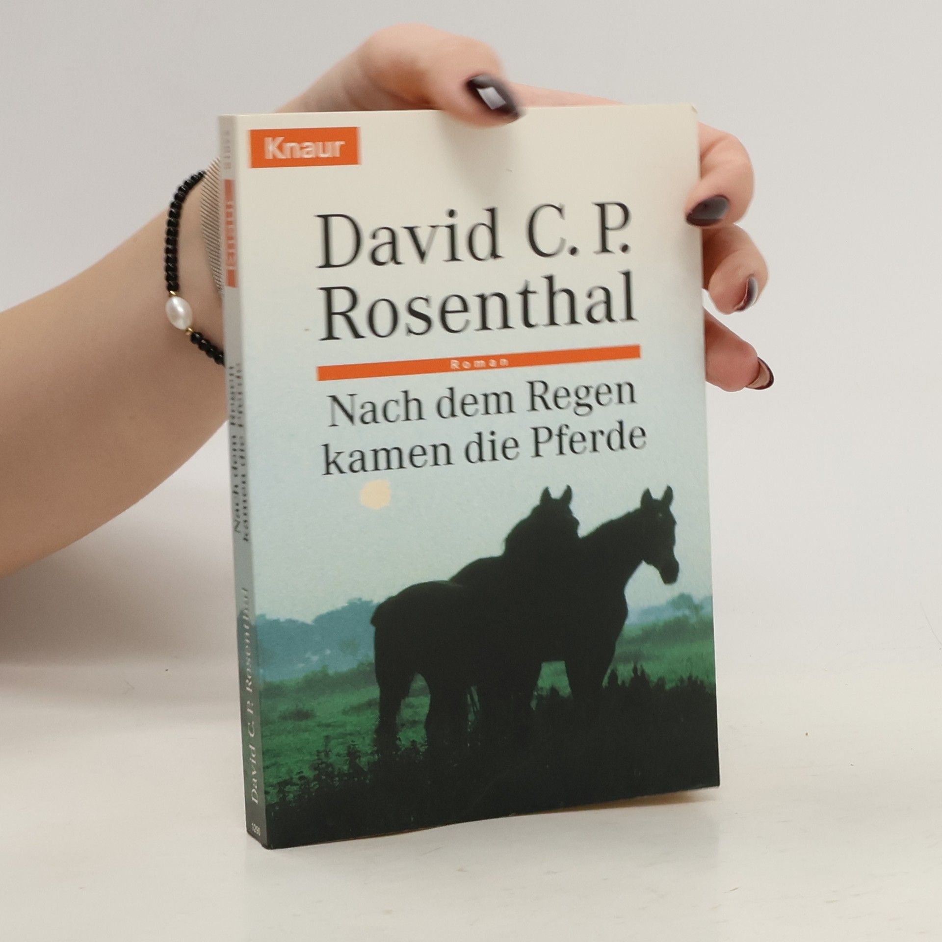 David C. P. Rosenthal Nach dem Regen kamen die Pferde