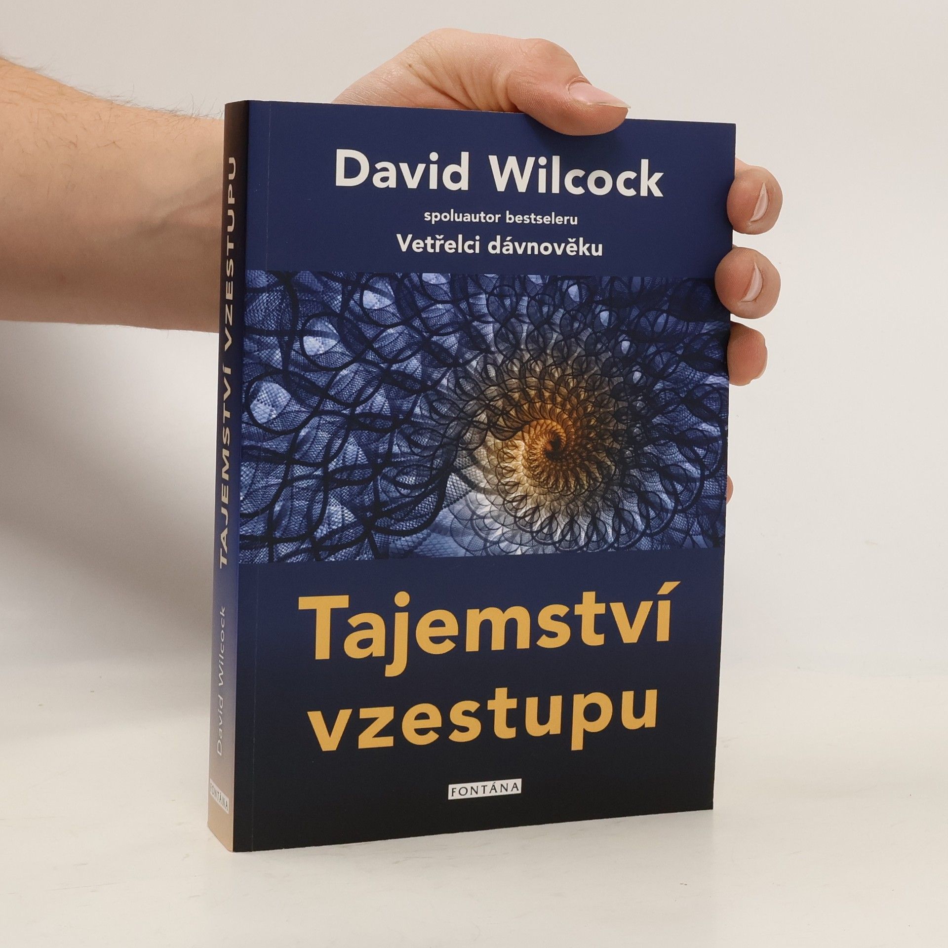 David Wilcock Tajemství vzestupu