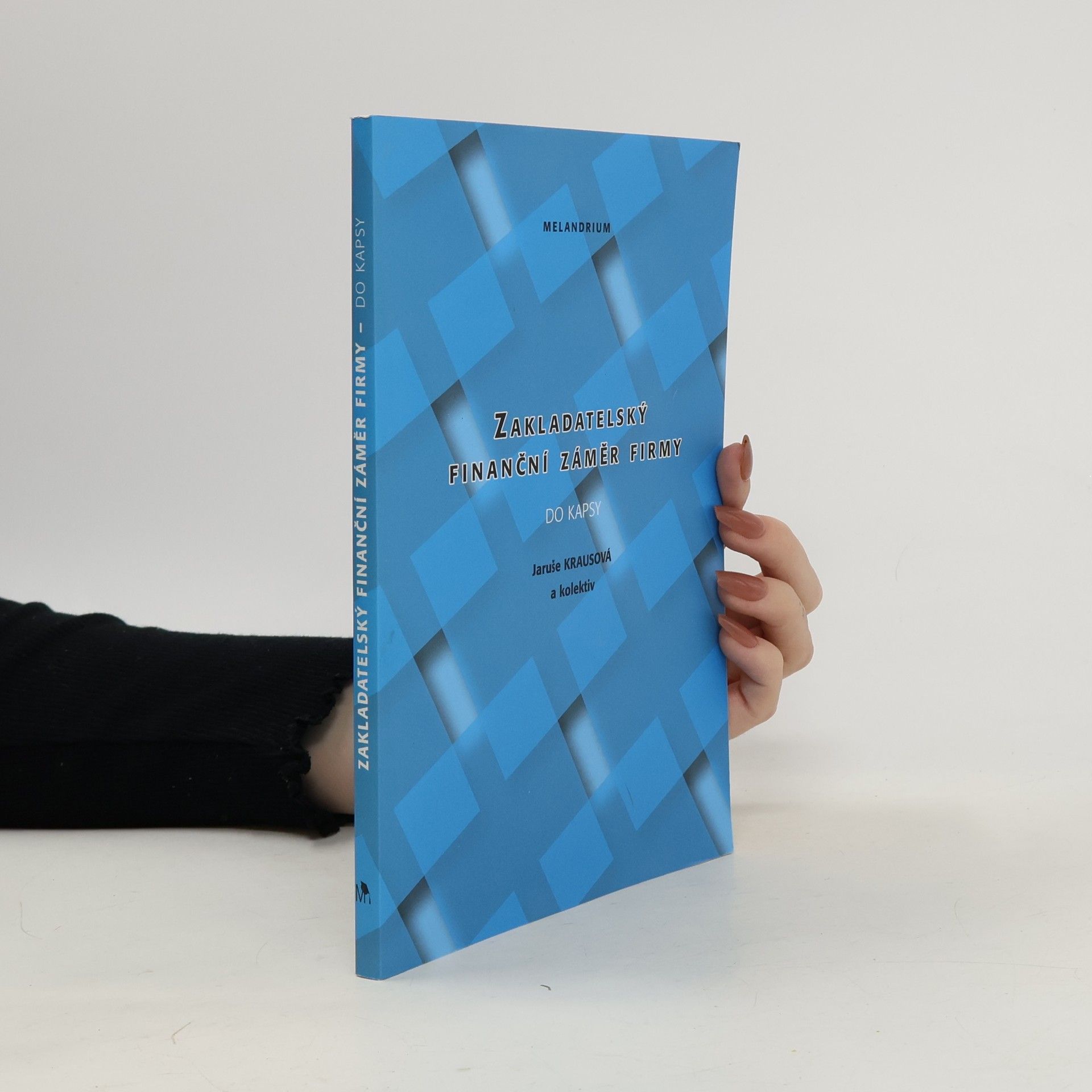 Kolektiv autorů Zakladatelský finanční záměr firmy