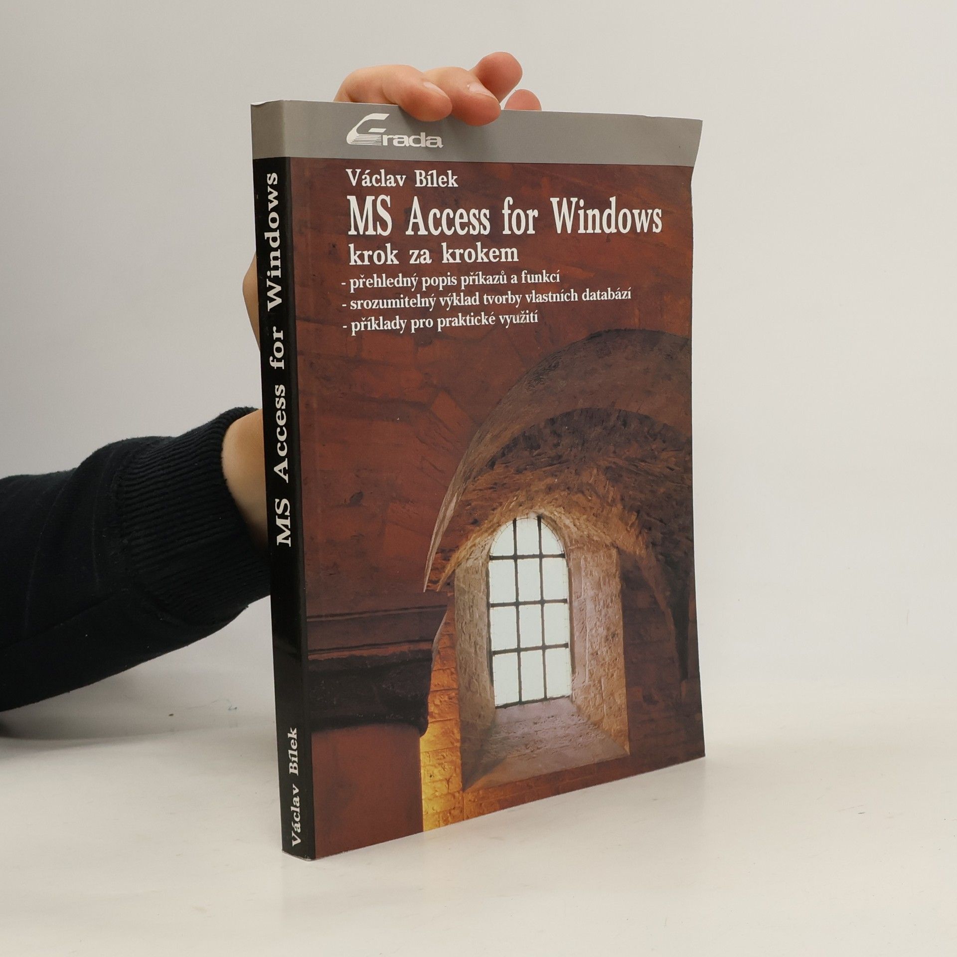 Václav Bílek MC Access for Windows