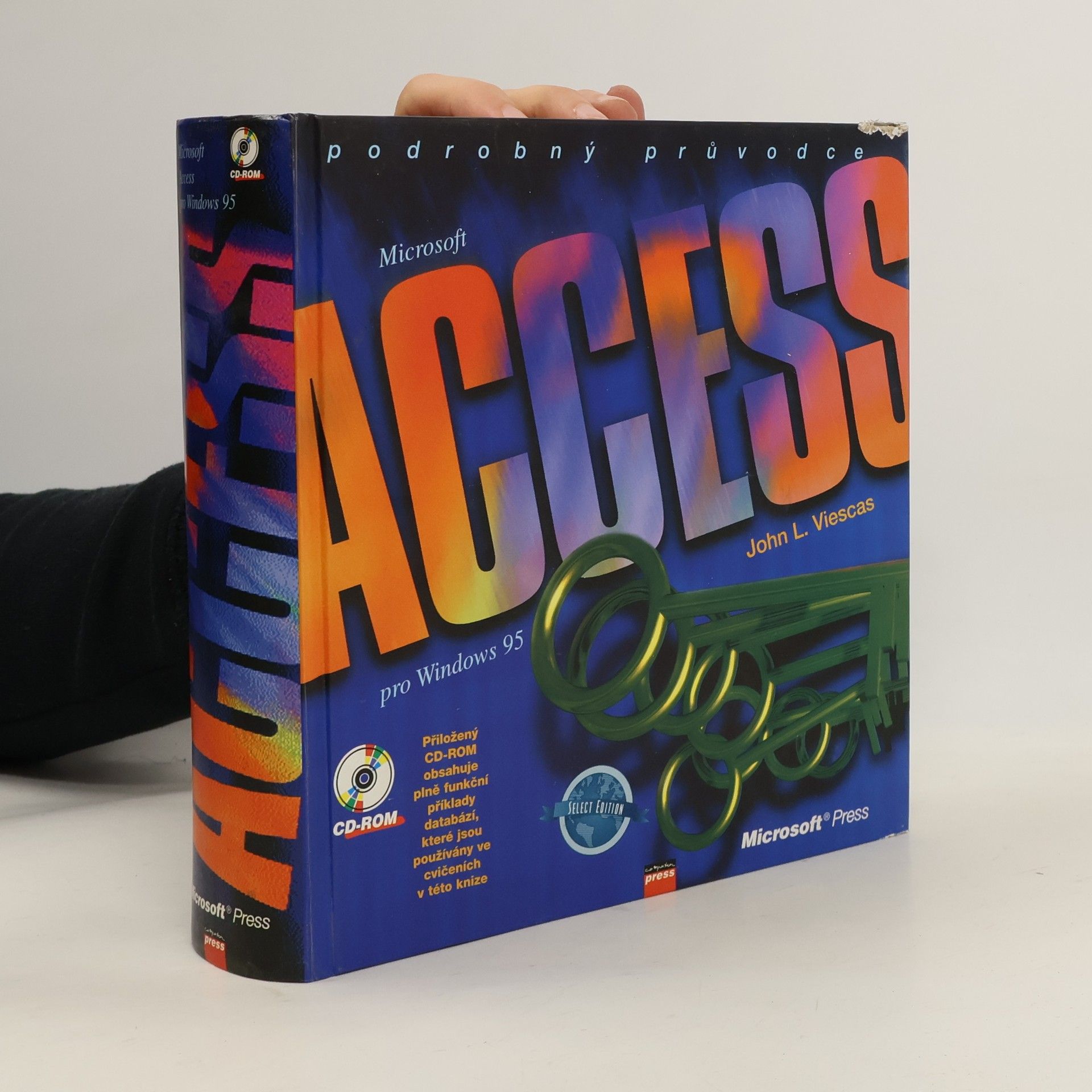 Access pro Windows 95