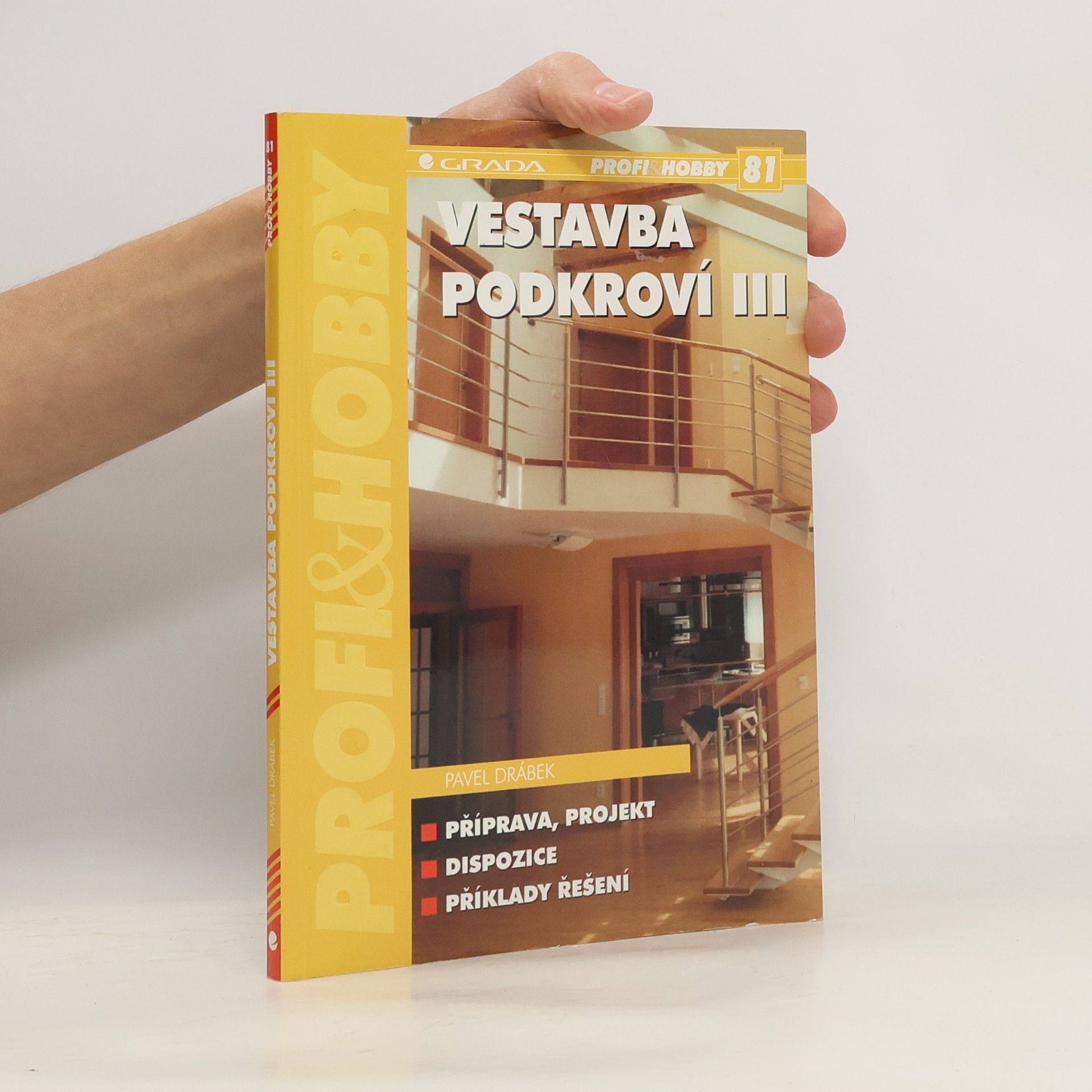 Pavel Drábek Vestavba podkroví III