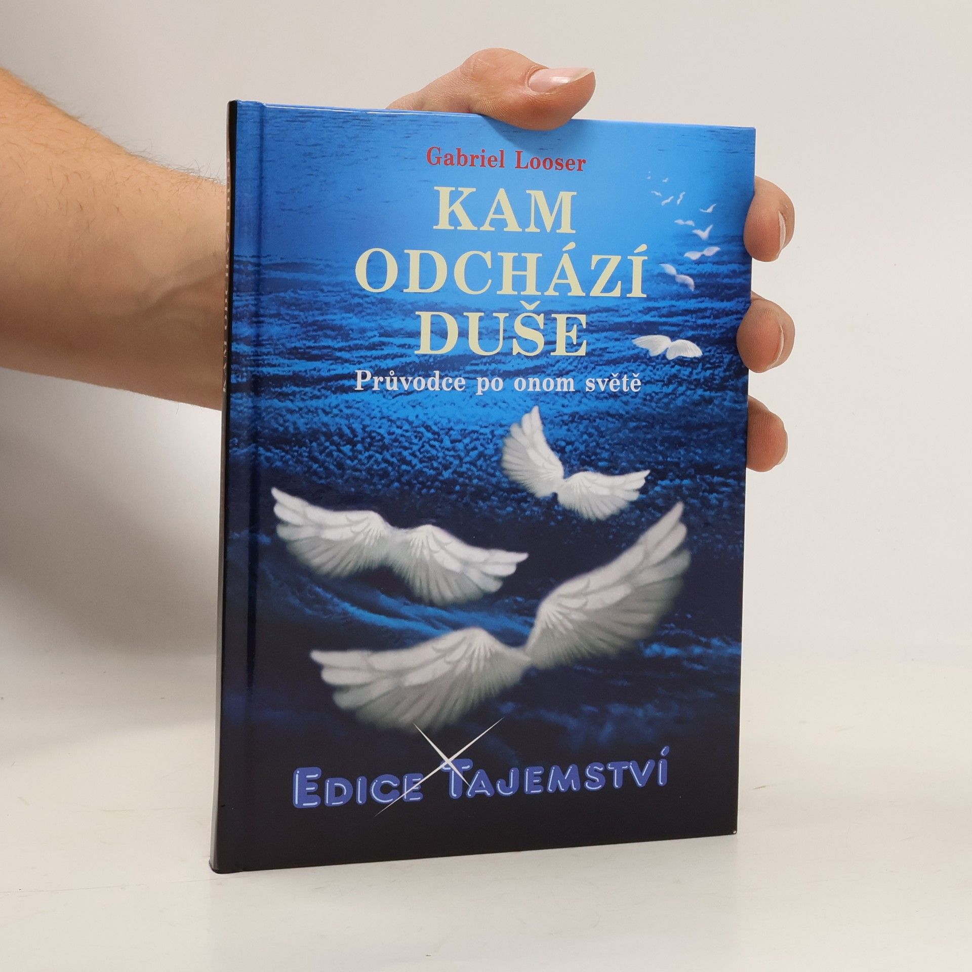 Gabriel Looser Kam odchází duše: průvodce po onom světě