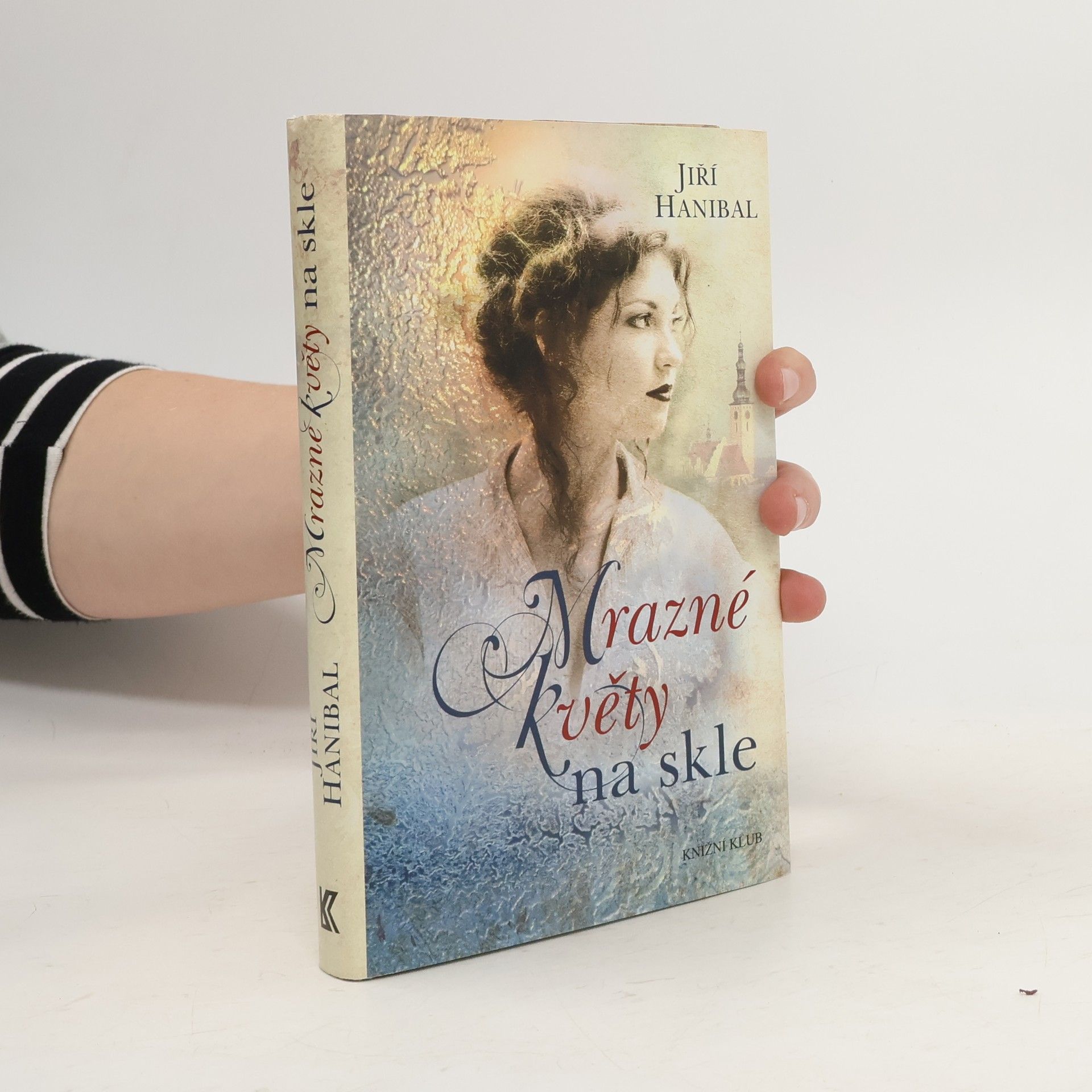 Jiří Hanibal Mrazné květy na skle