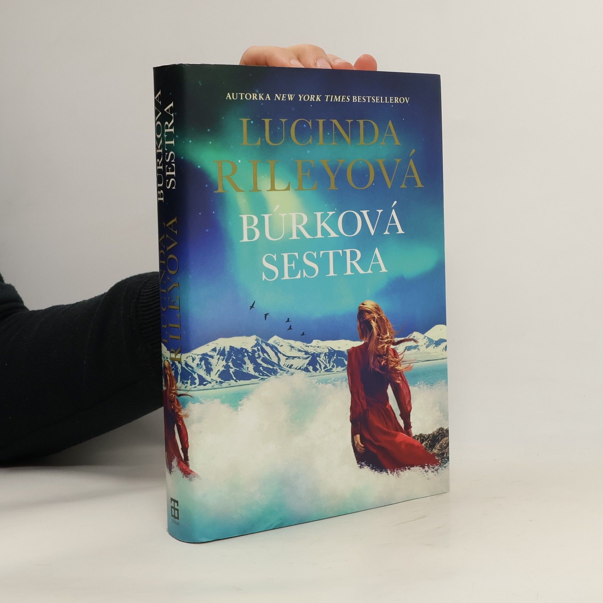 Lucinda Riley Búrková sestra