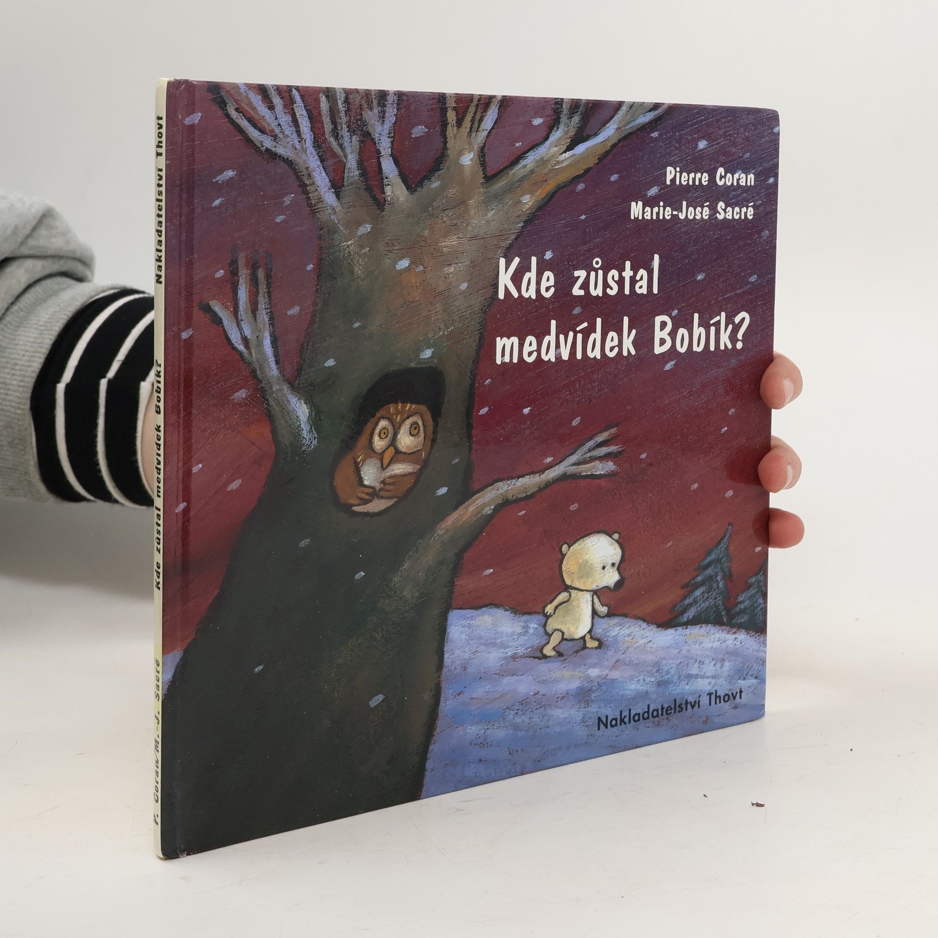 Pierre Coran Kde zůstal medvídek Bobík?