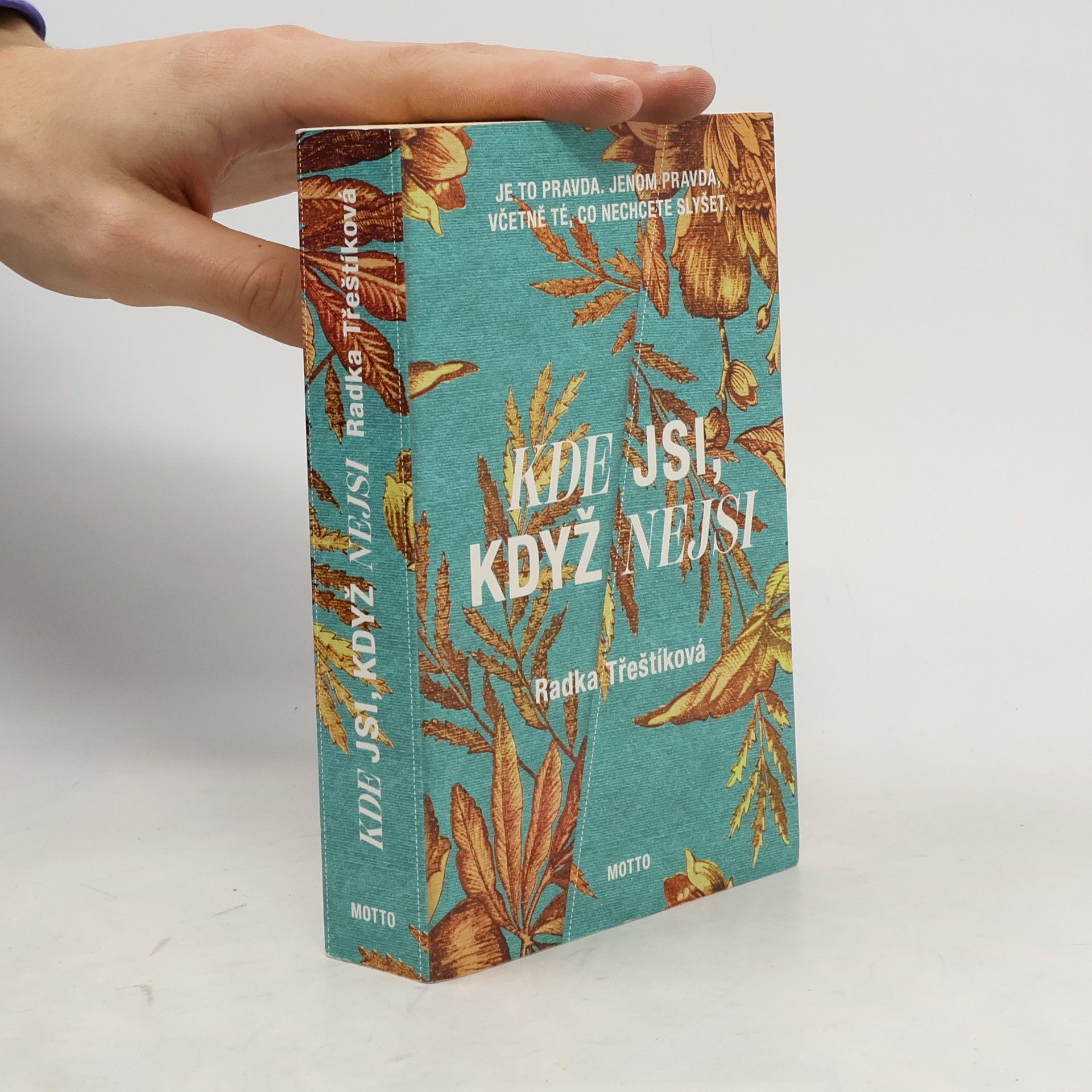 Radka Třeštíková Kde jsi, když nejsi