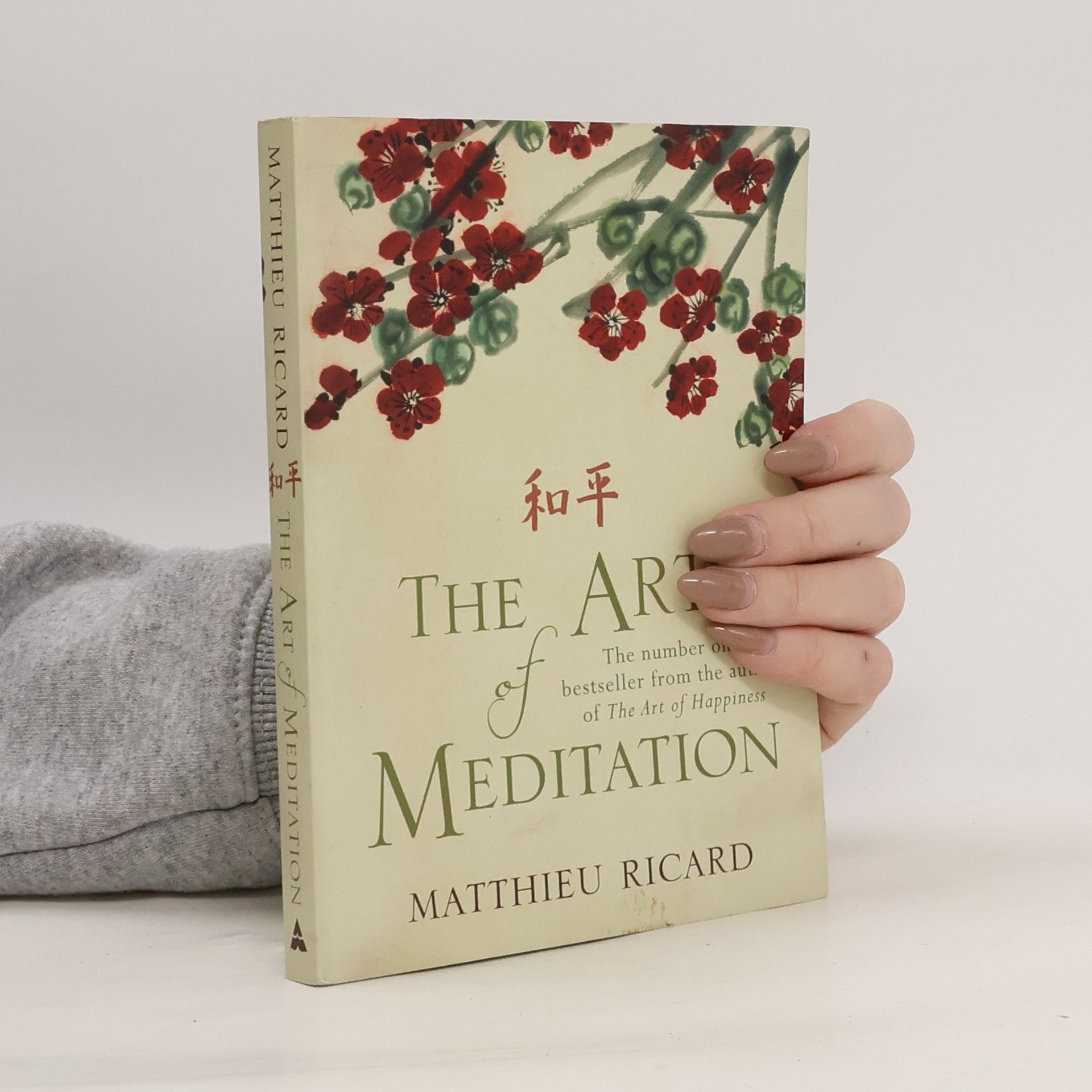 Ricard Matthieu Art of Meditation