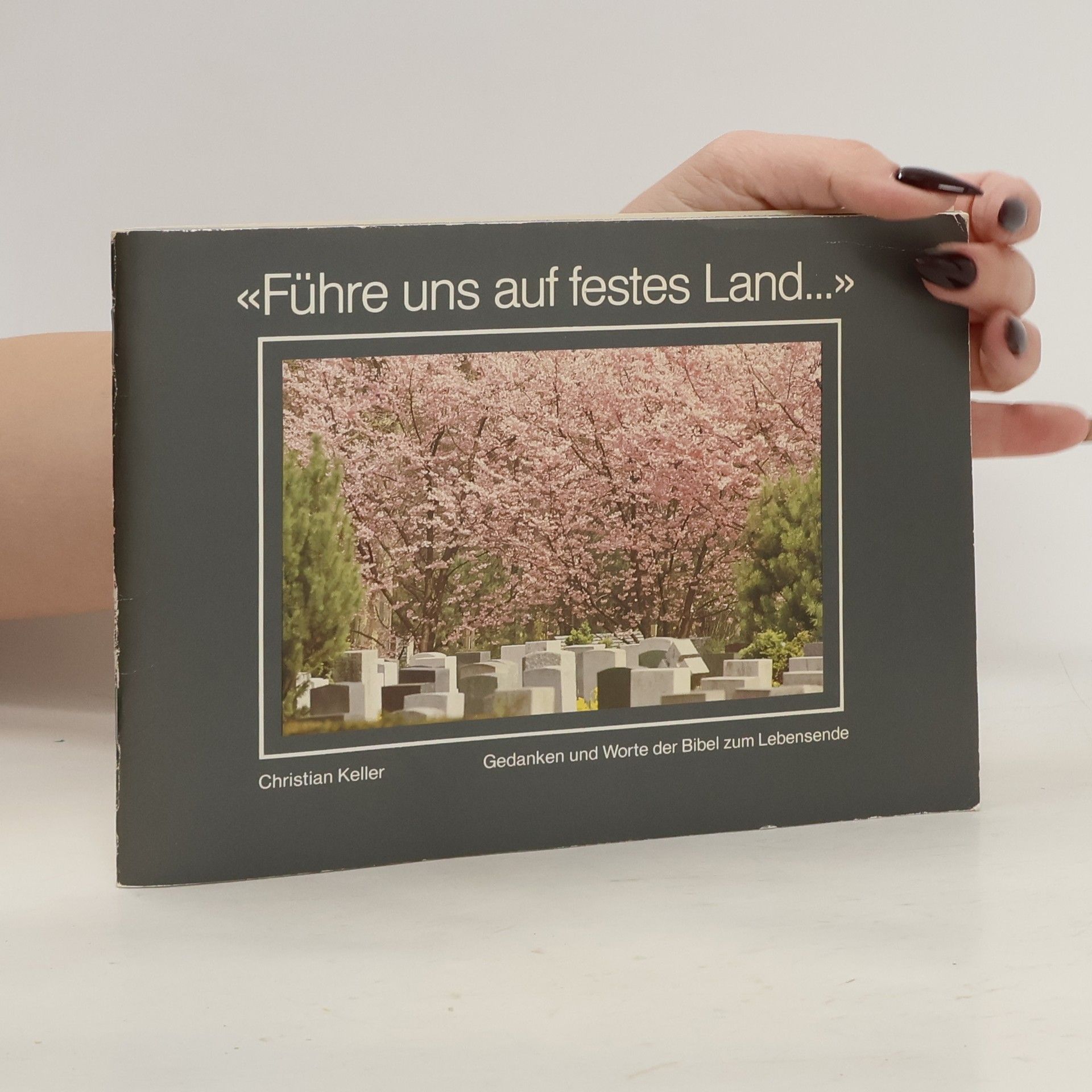 Christian Keller Führe uns auf festes Land...