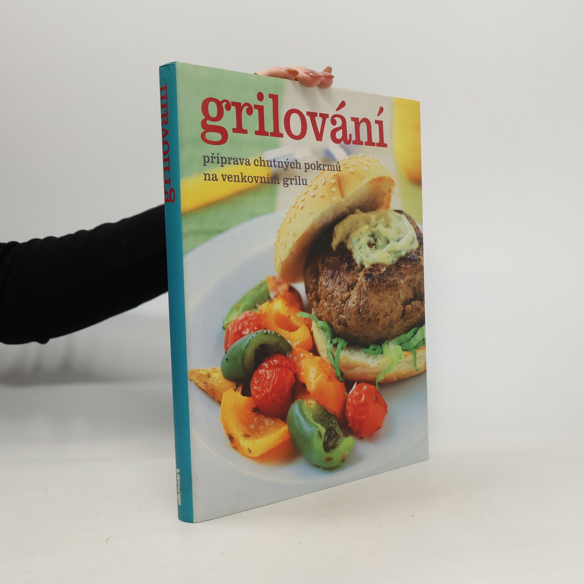 Collectif d'auteurs Grilování. Příprava chutných pokrmů na venkovním grilu