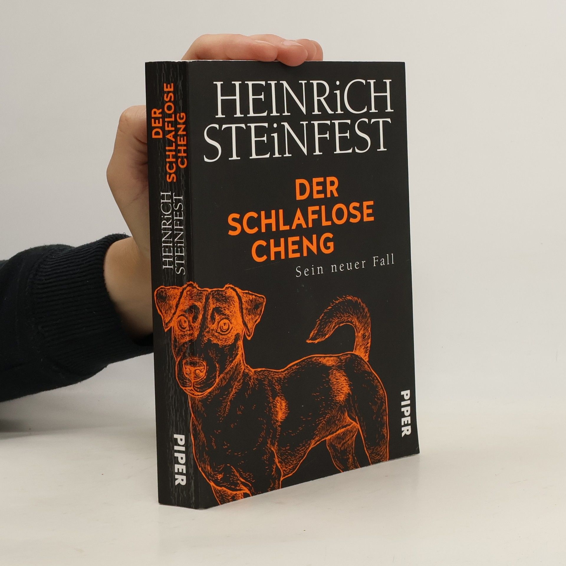 Heinrich Steinfest Der schlaflose Cheng