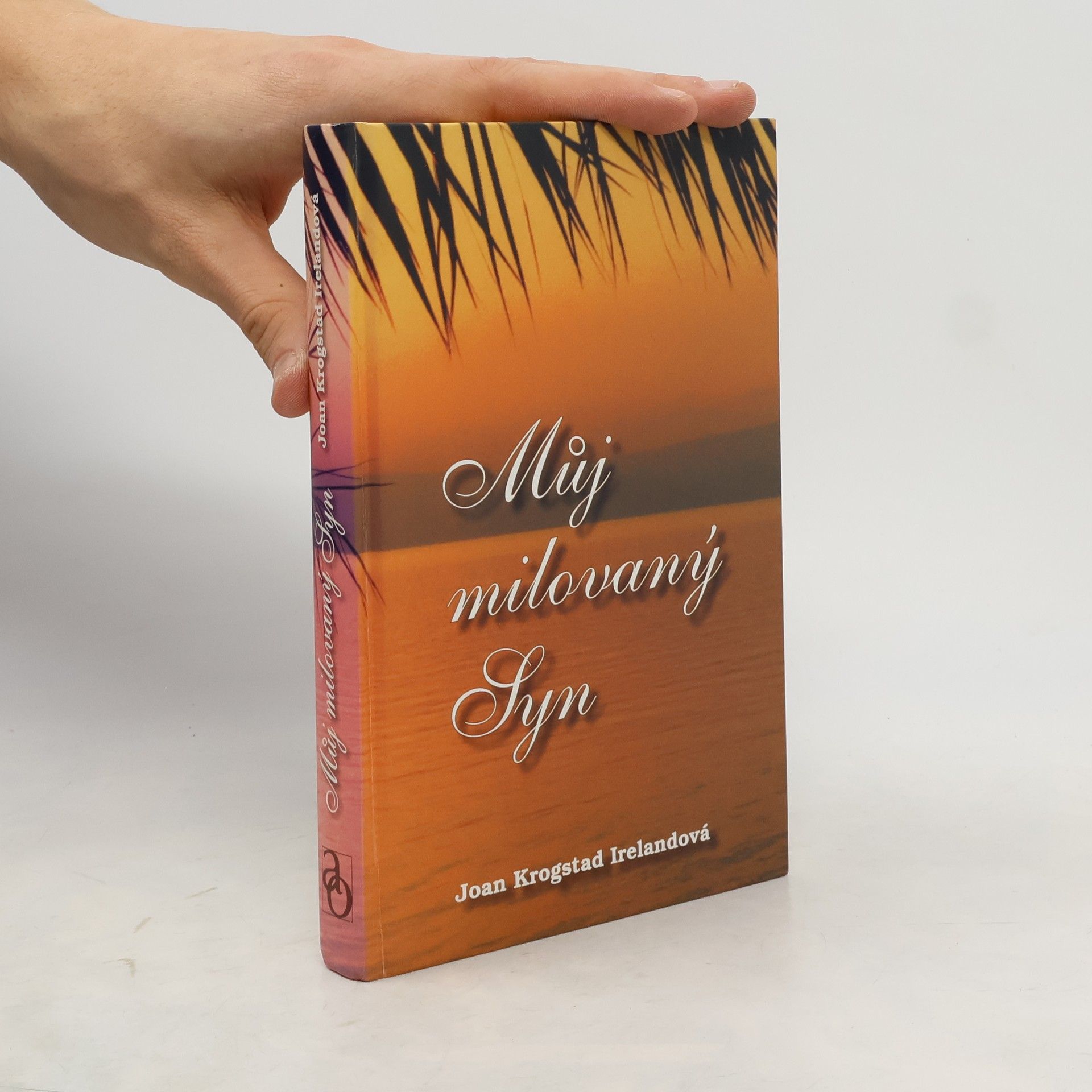 Joan Krogstad Ireland Můj milovaný Syn: Život Ježíše Krista očima Marie