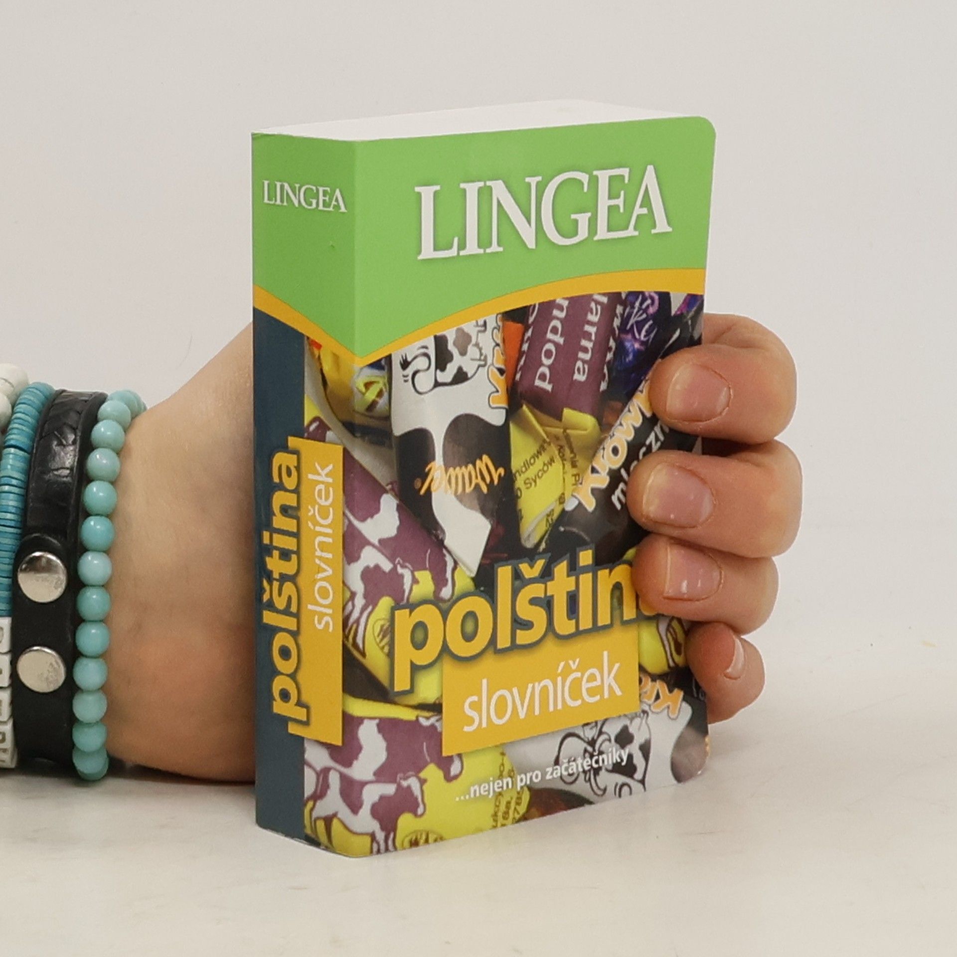 Various authors Polština : slovníček