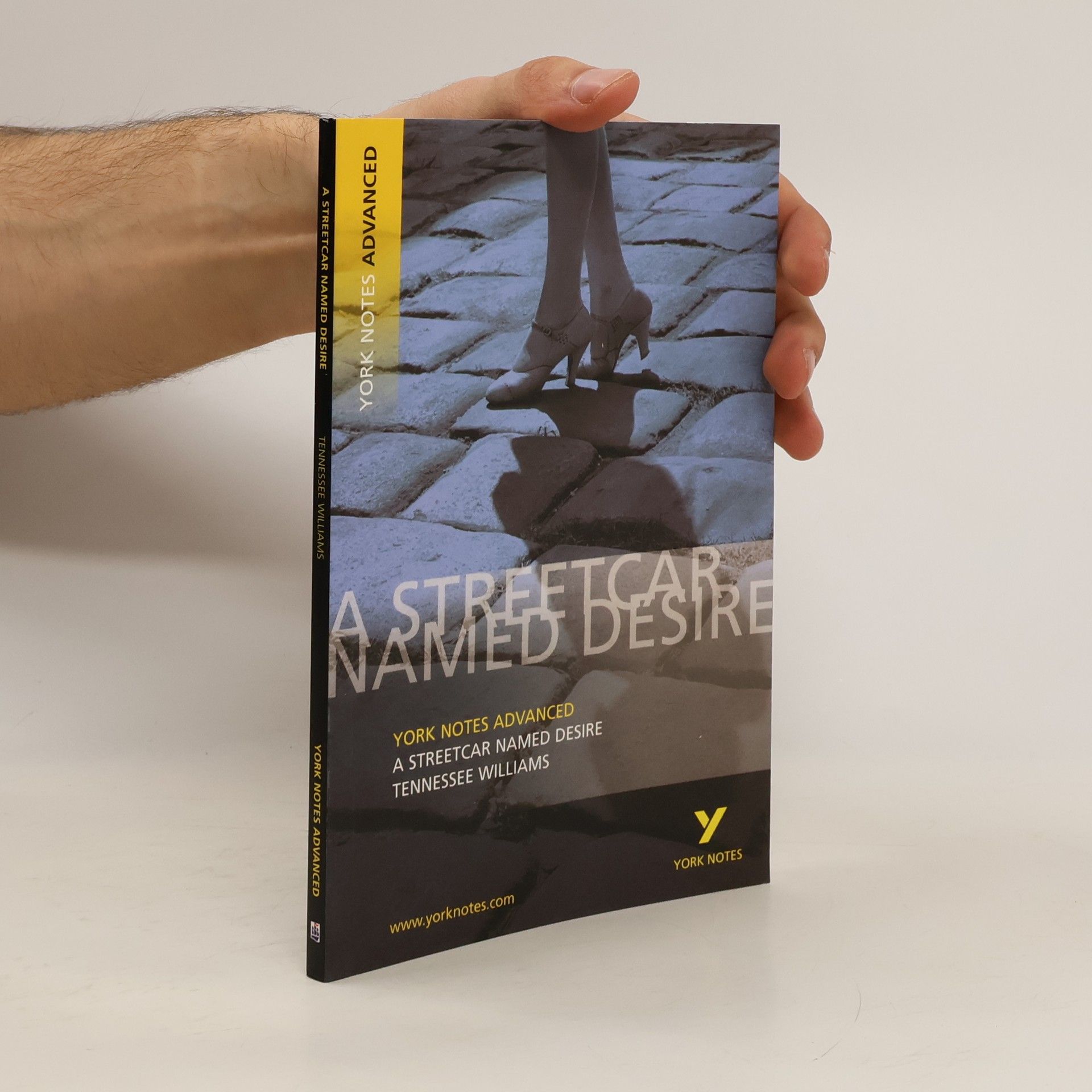 Tad Williams Streetcar Named Desire: York Notes Advanced