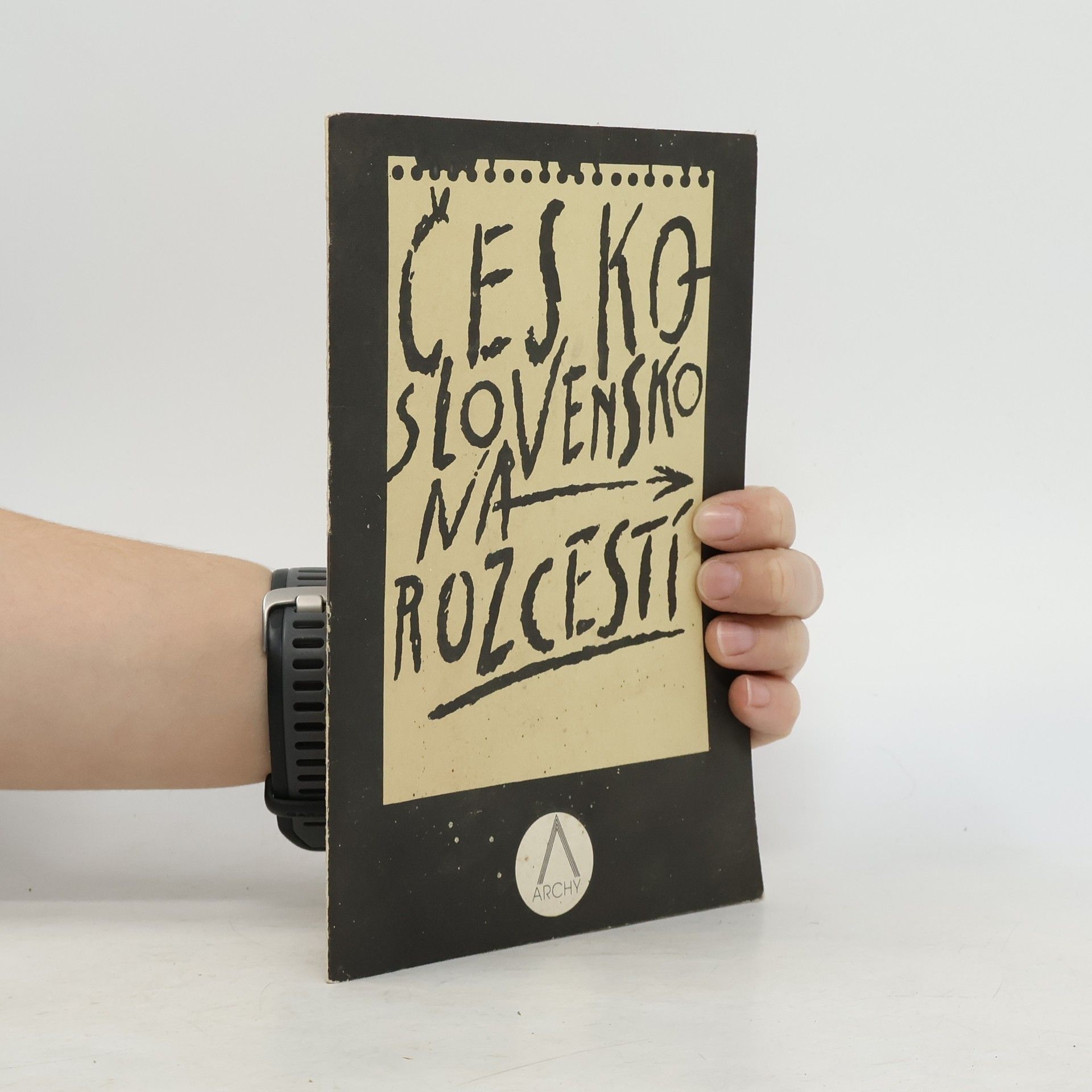 Collectif d'auteurs Československo na rozcestí