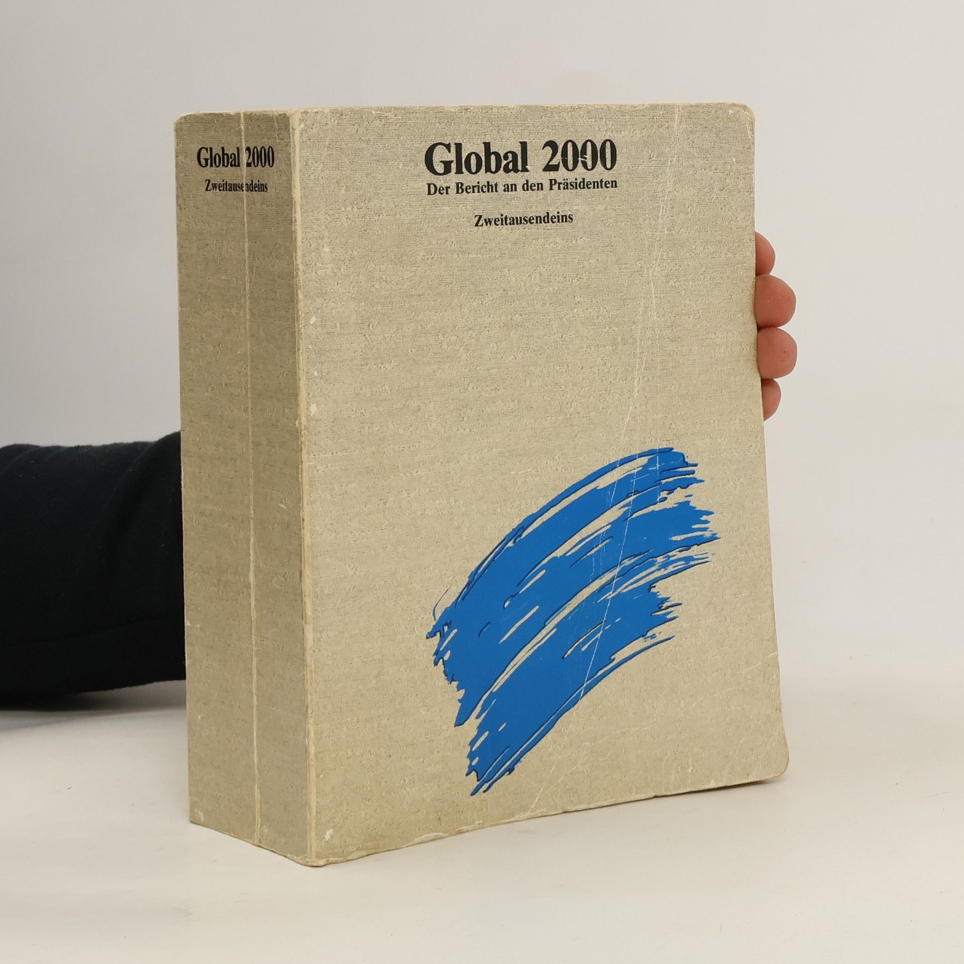 Reinhard Kaiser Global 2000. Der Bericht an den Präsidenten